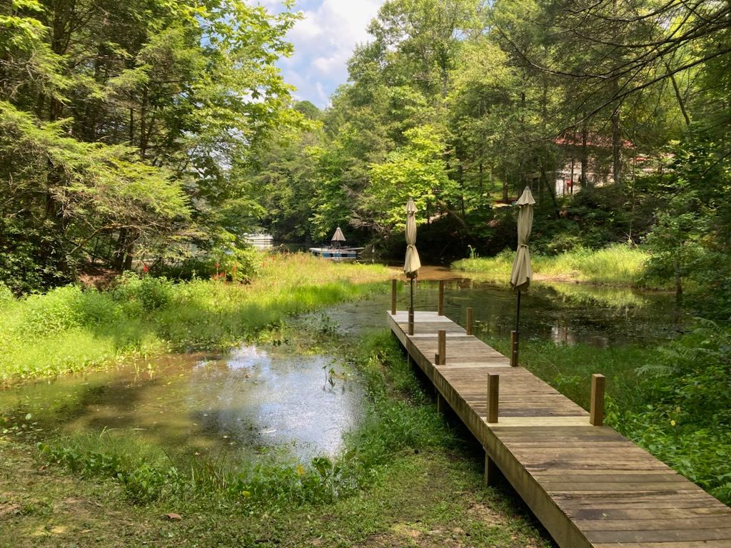 Shallow cove and boardwalk. 