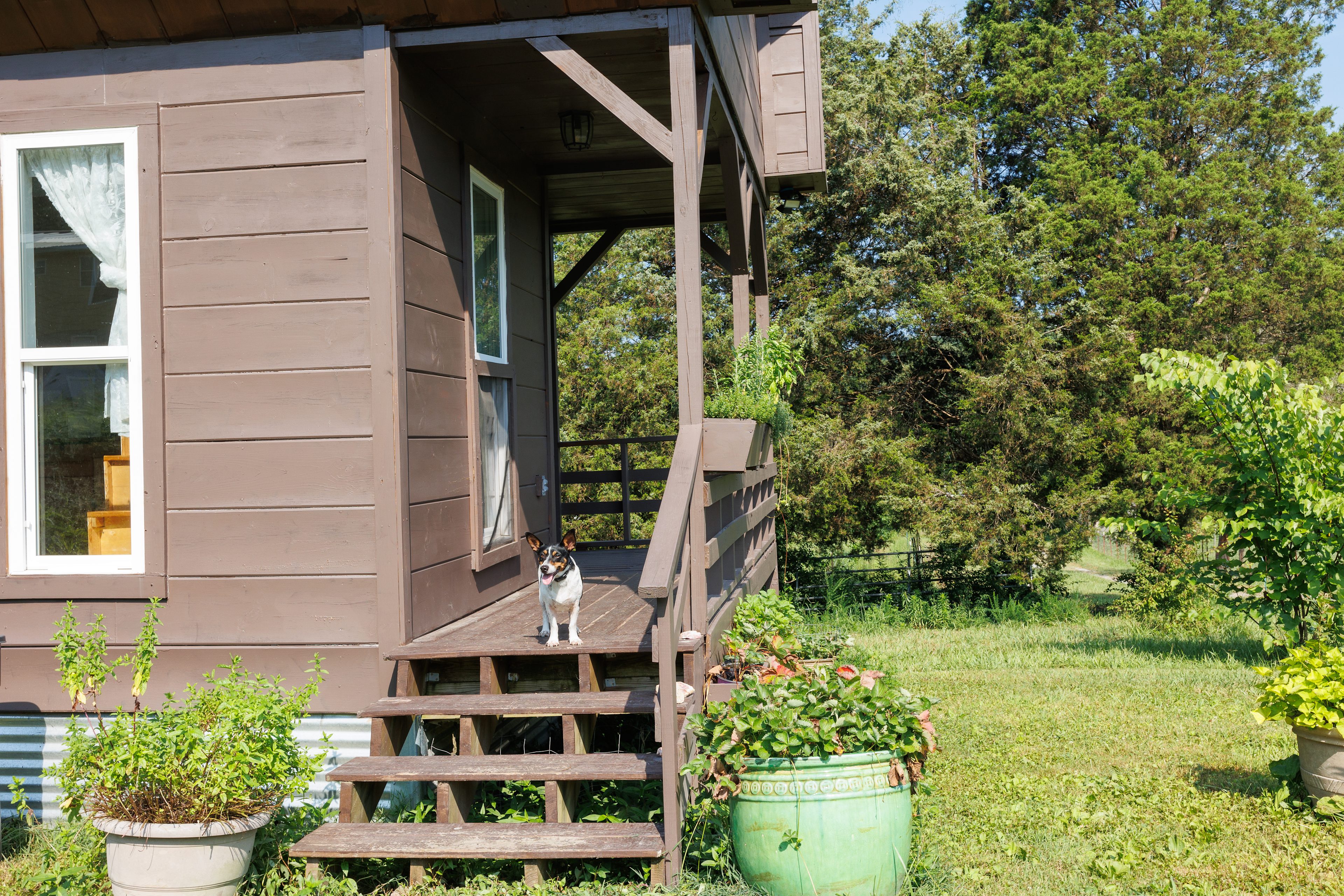Little Barn Cabin At Fowl Territory