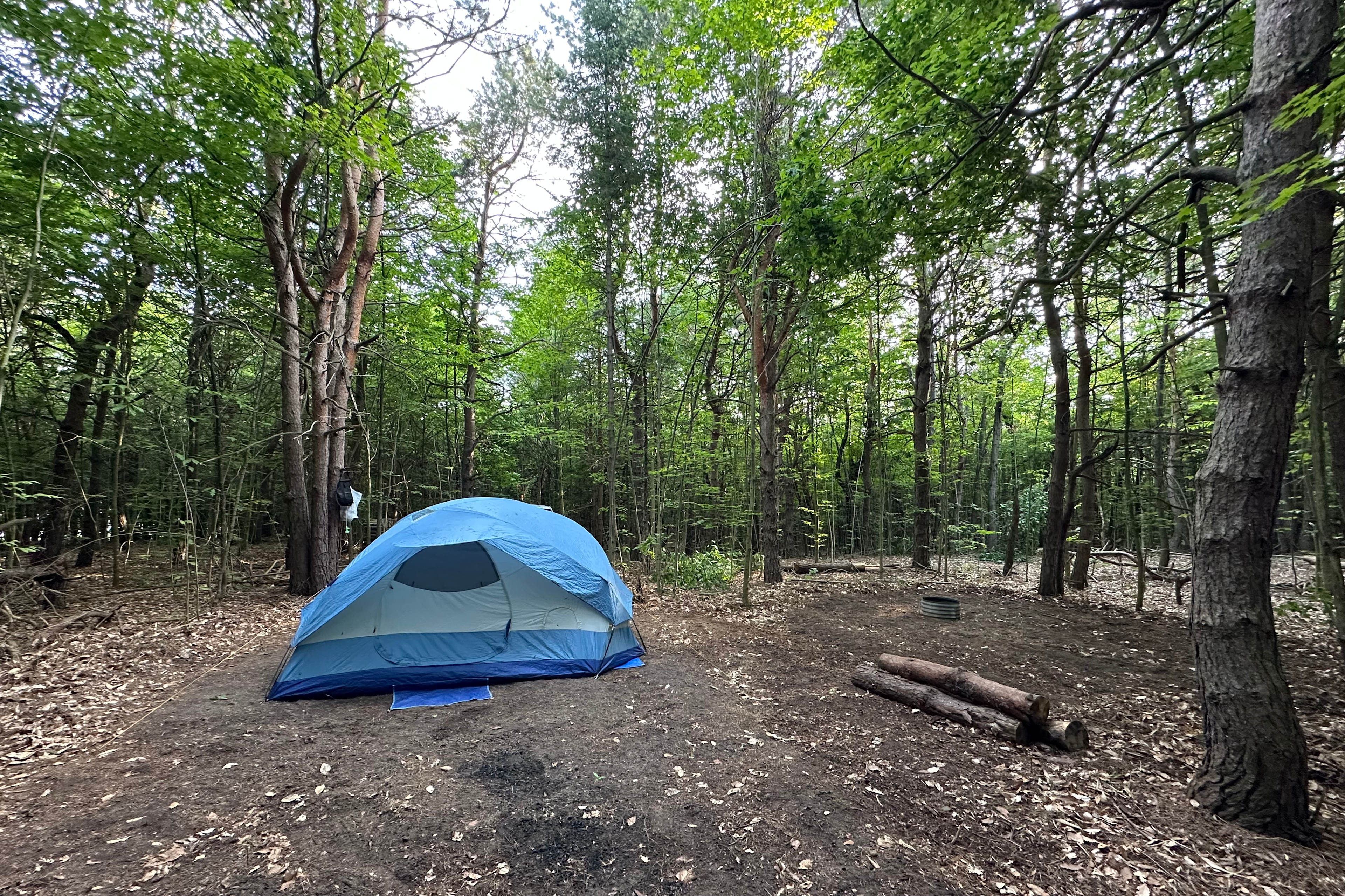 Campsite and fire-pit area.🏕️