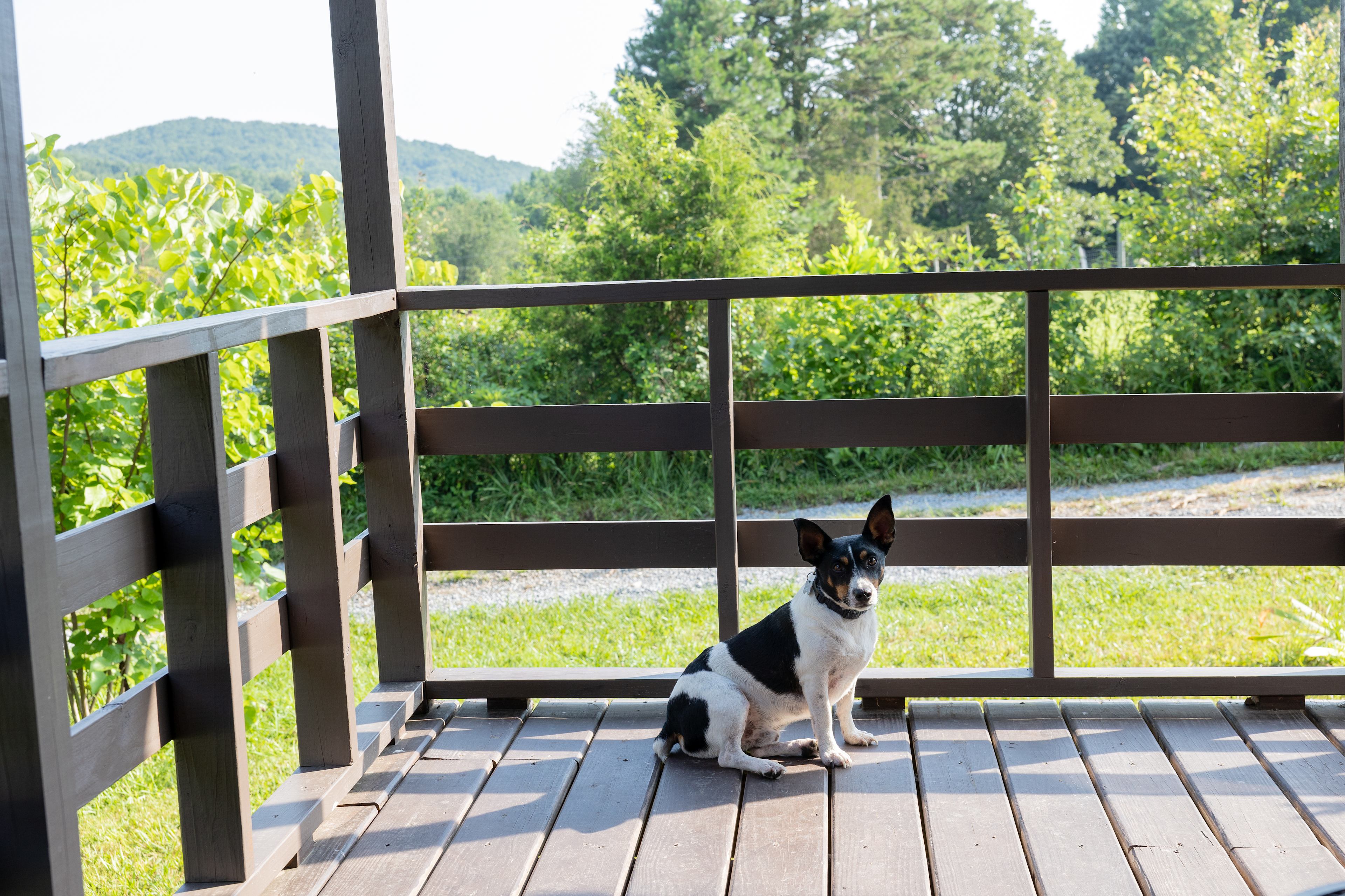 Little Barn Cabin At Fowl Territory