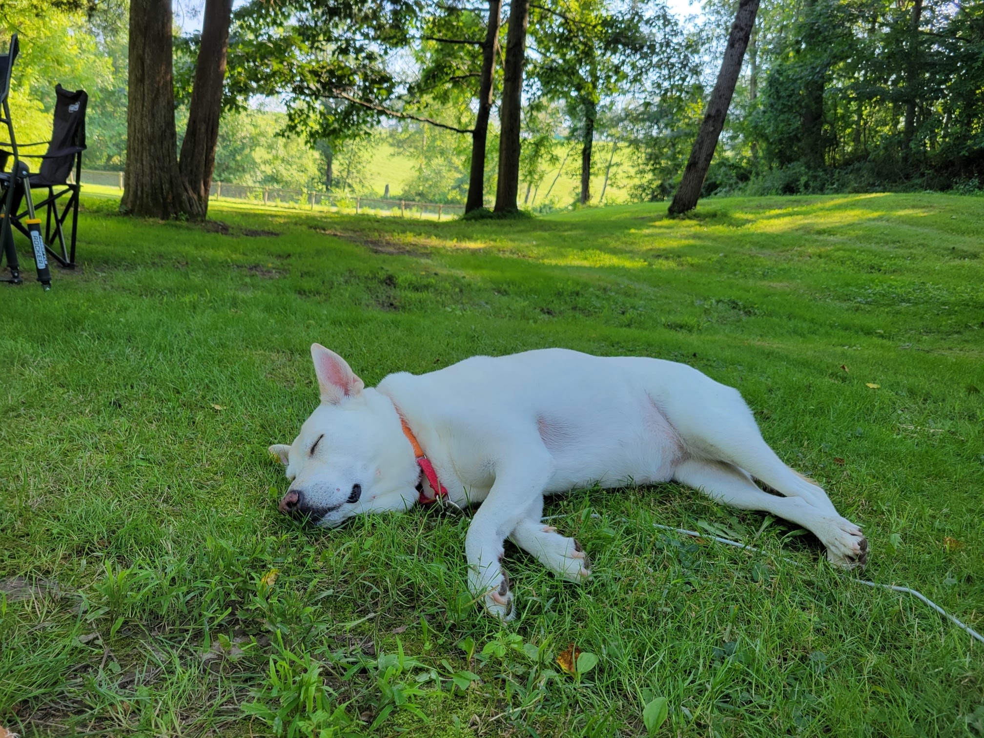 Stella was in her element.