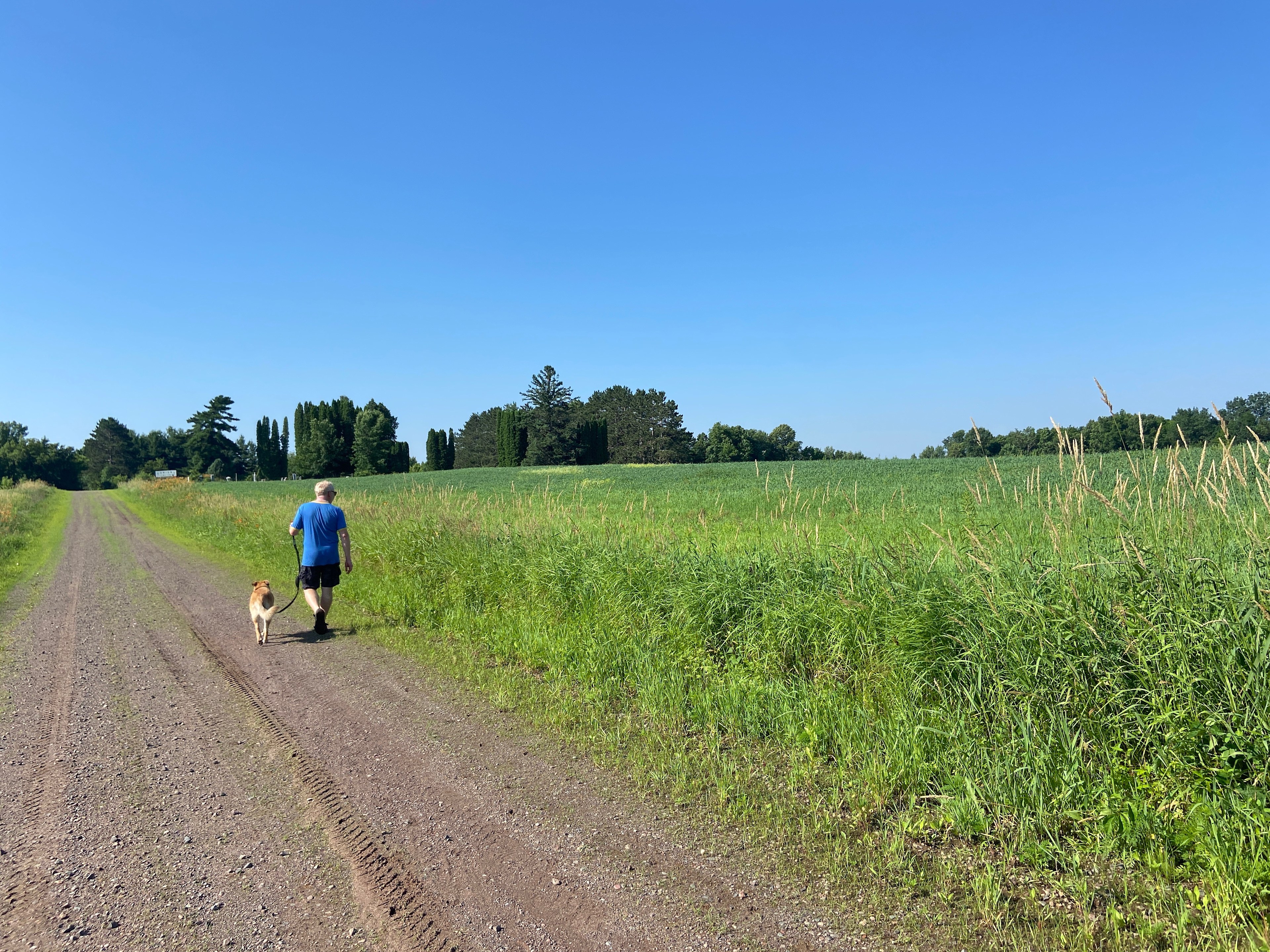 Rustic Haven Retreat on 80 acres