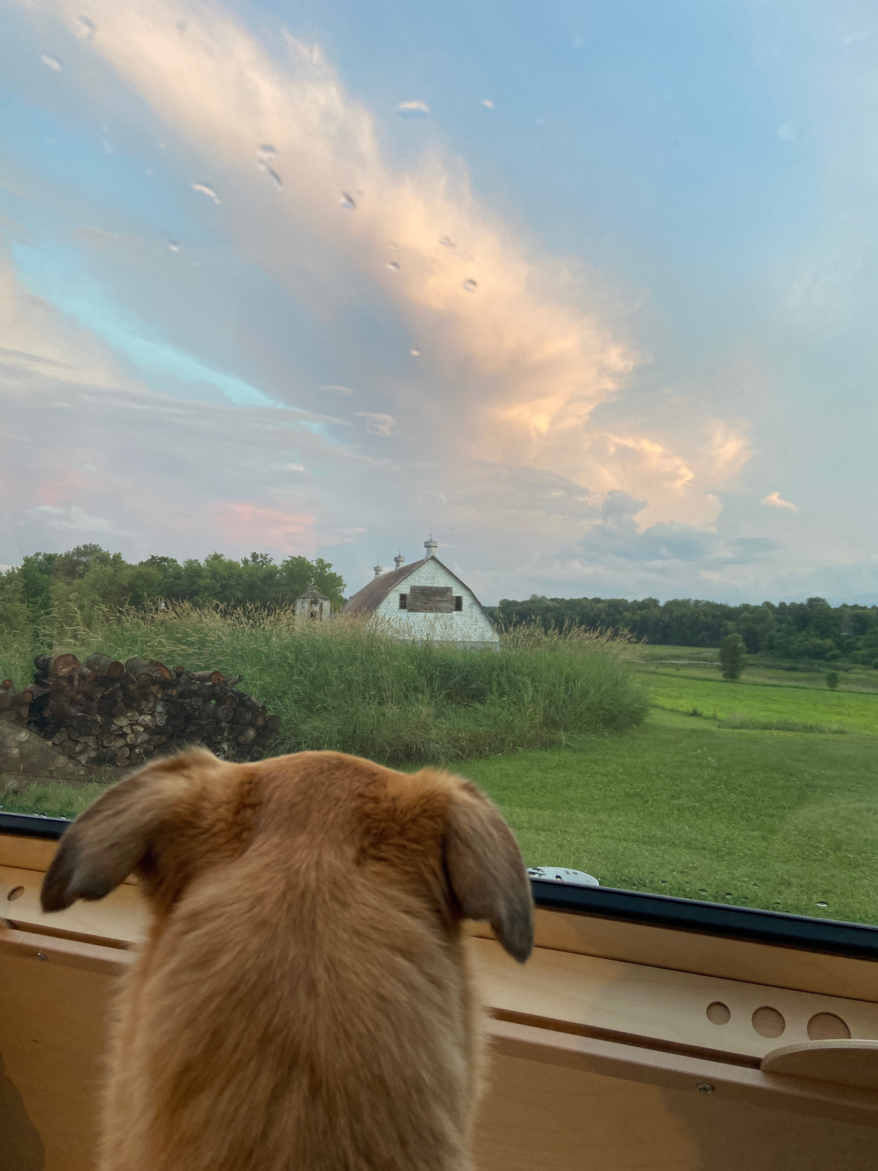 Rustic Haven Retreat on 80 acres