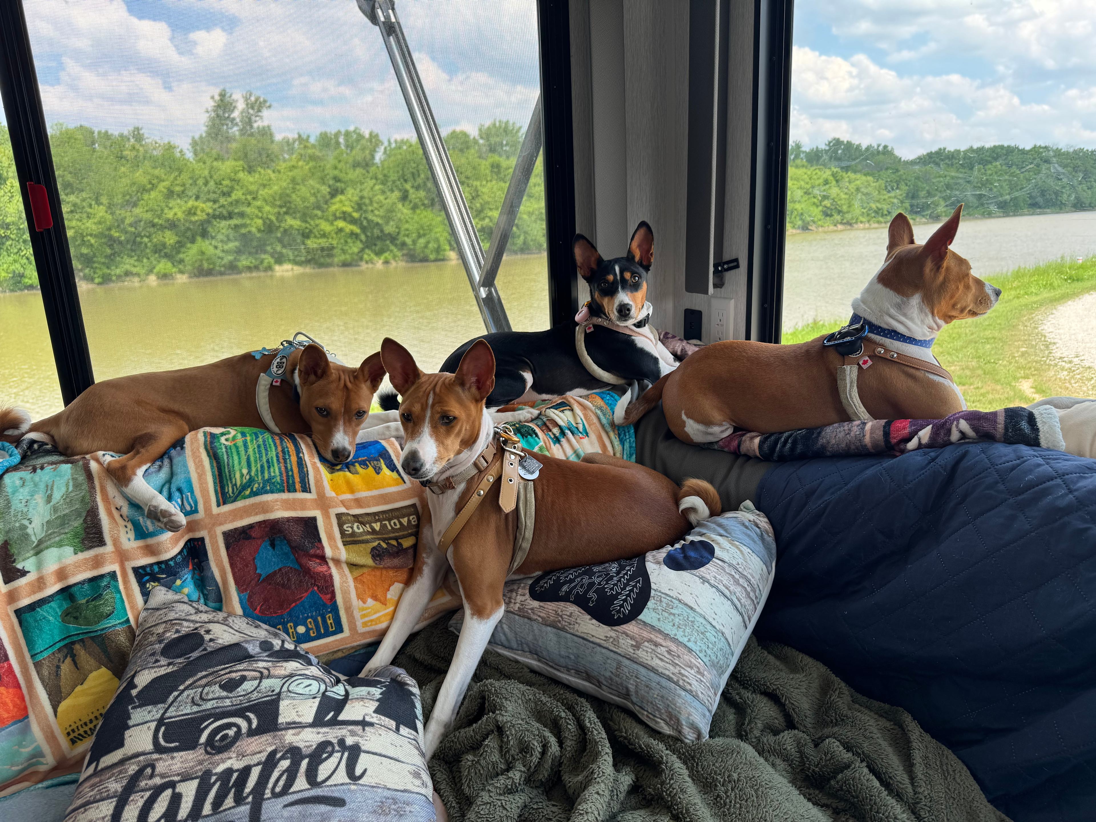Kaskaskia River Camping & RV Park