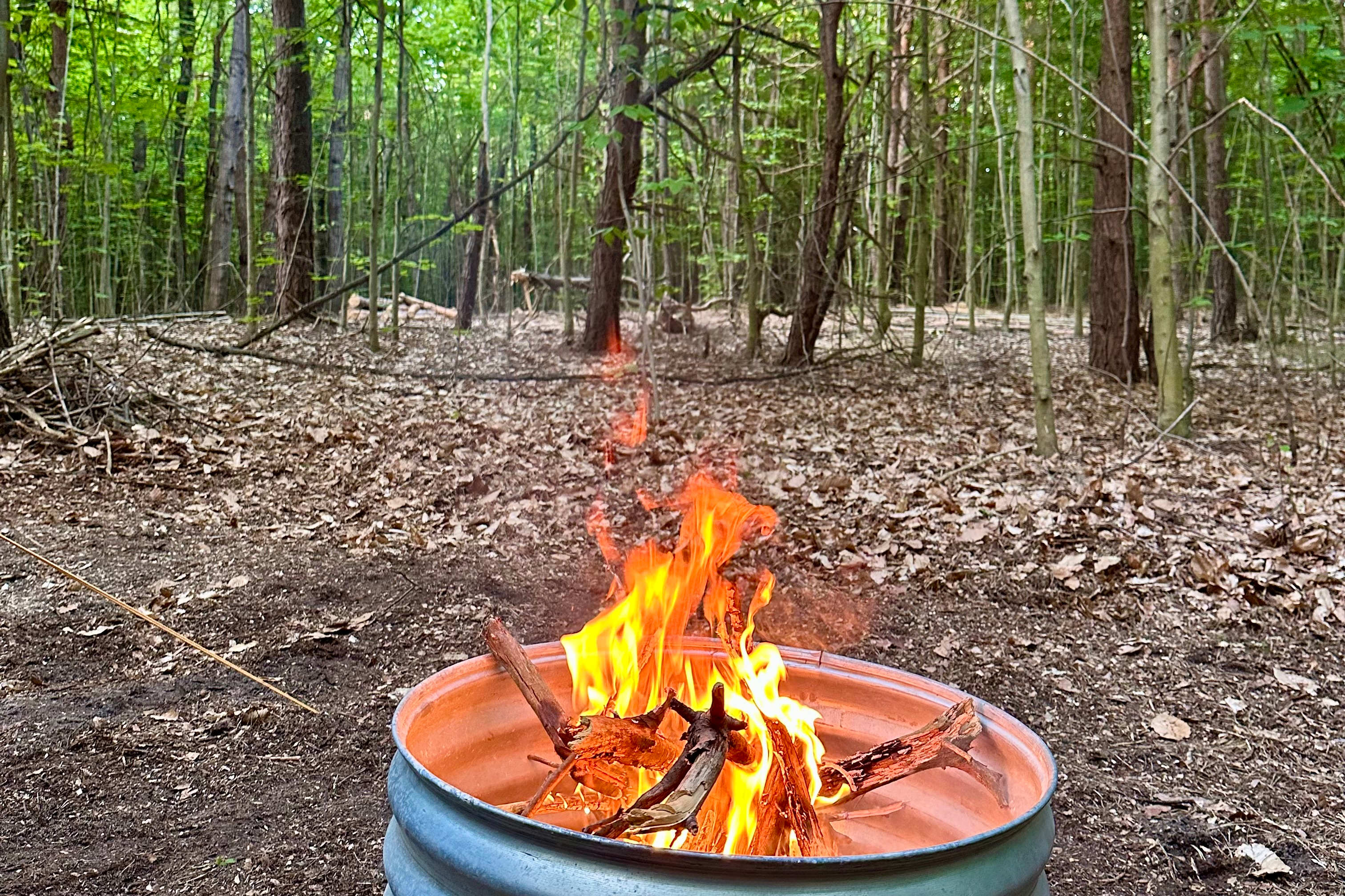 Fire pit photo. This is a photo from last year. The area around the fire pit is cleared more now. 