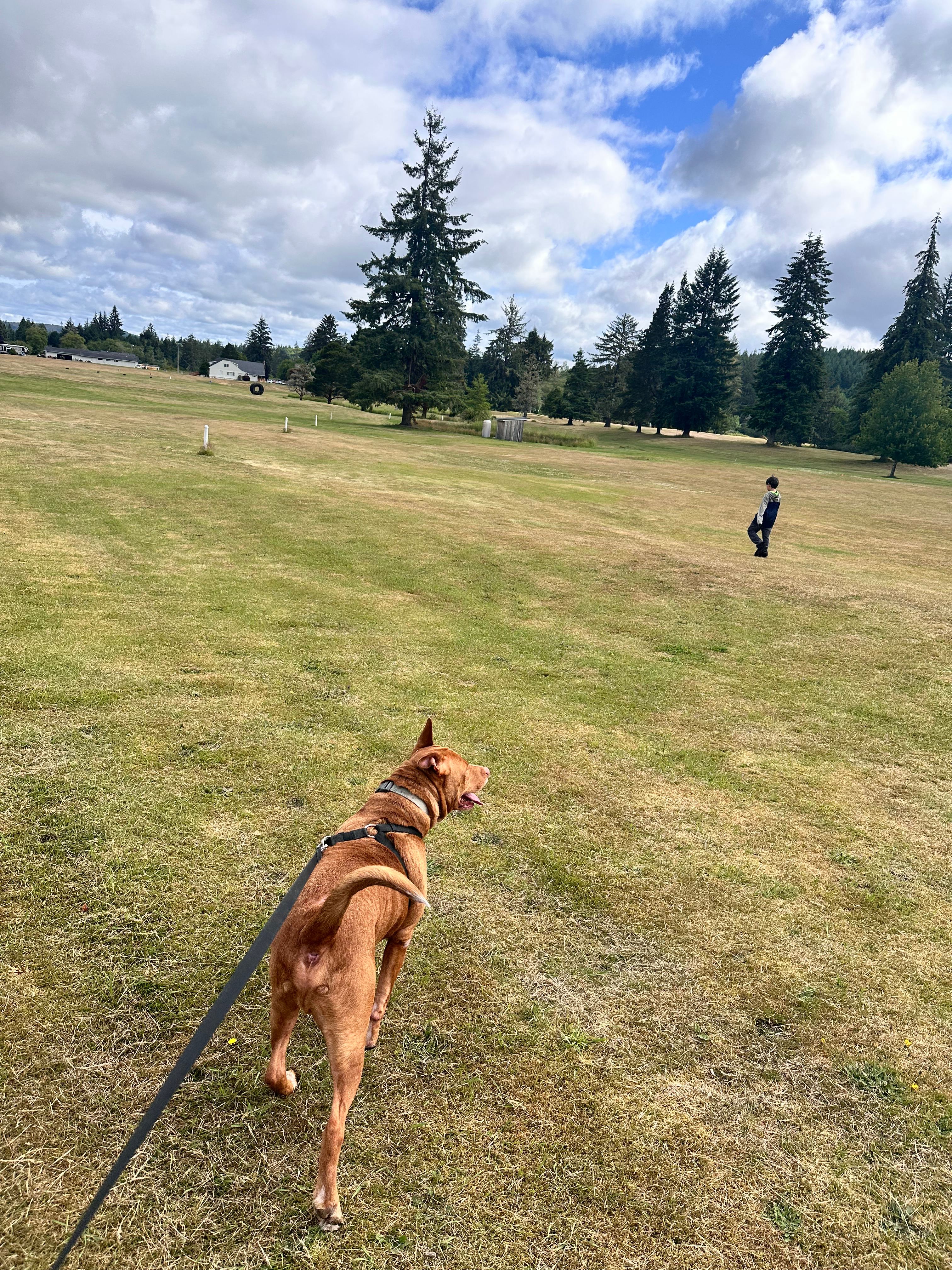 Golf course is beautiful 