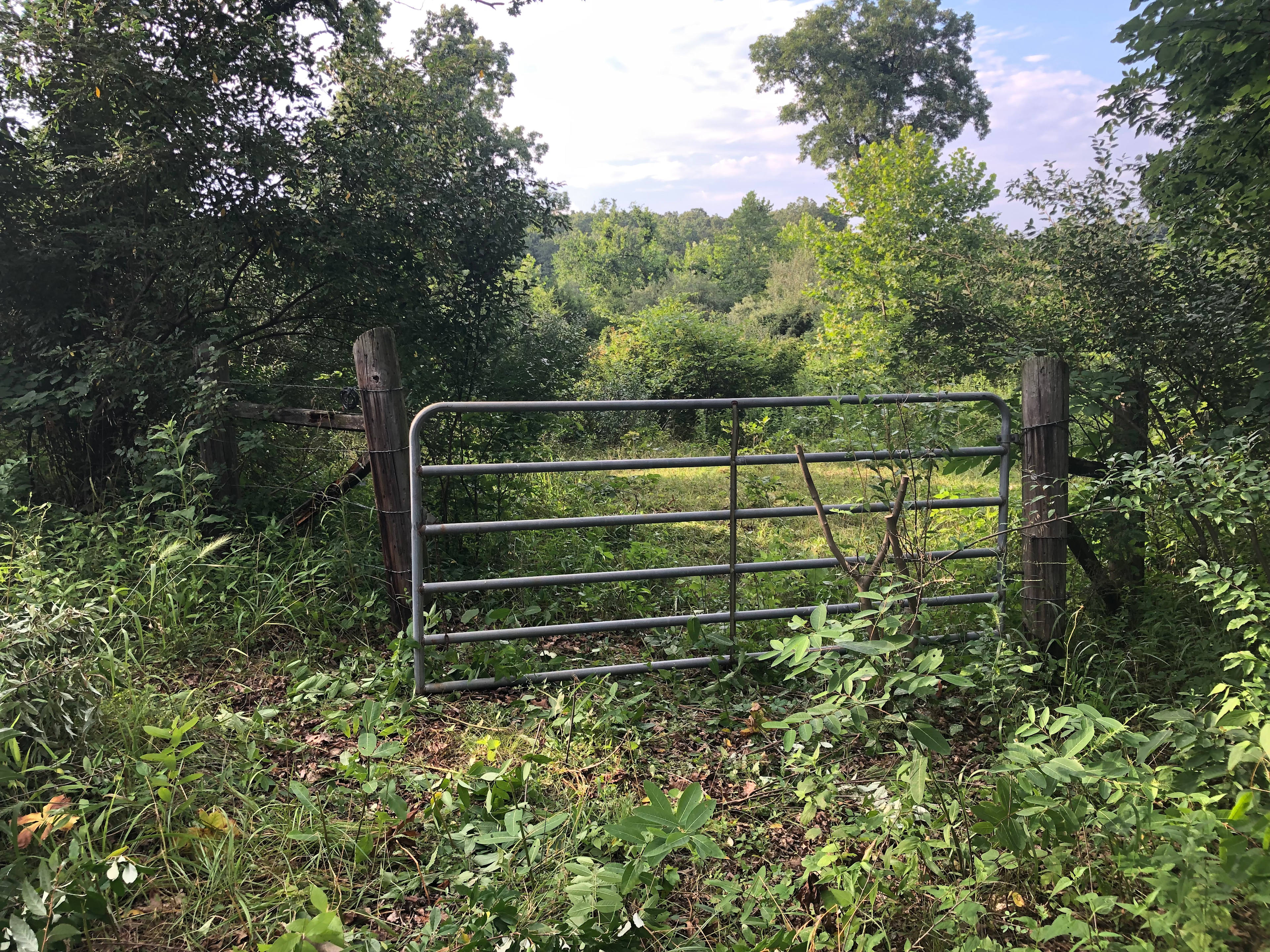 Castor River Pastures