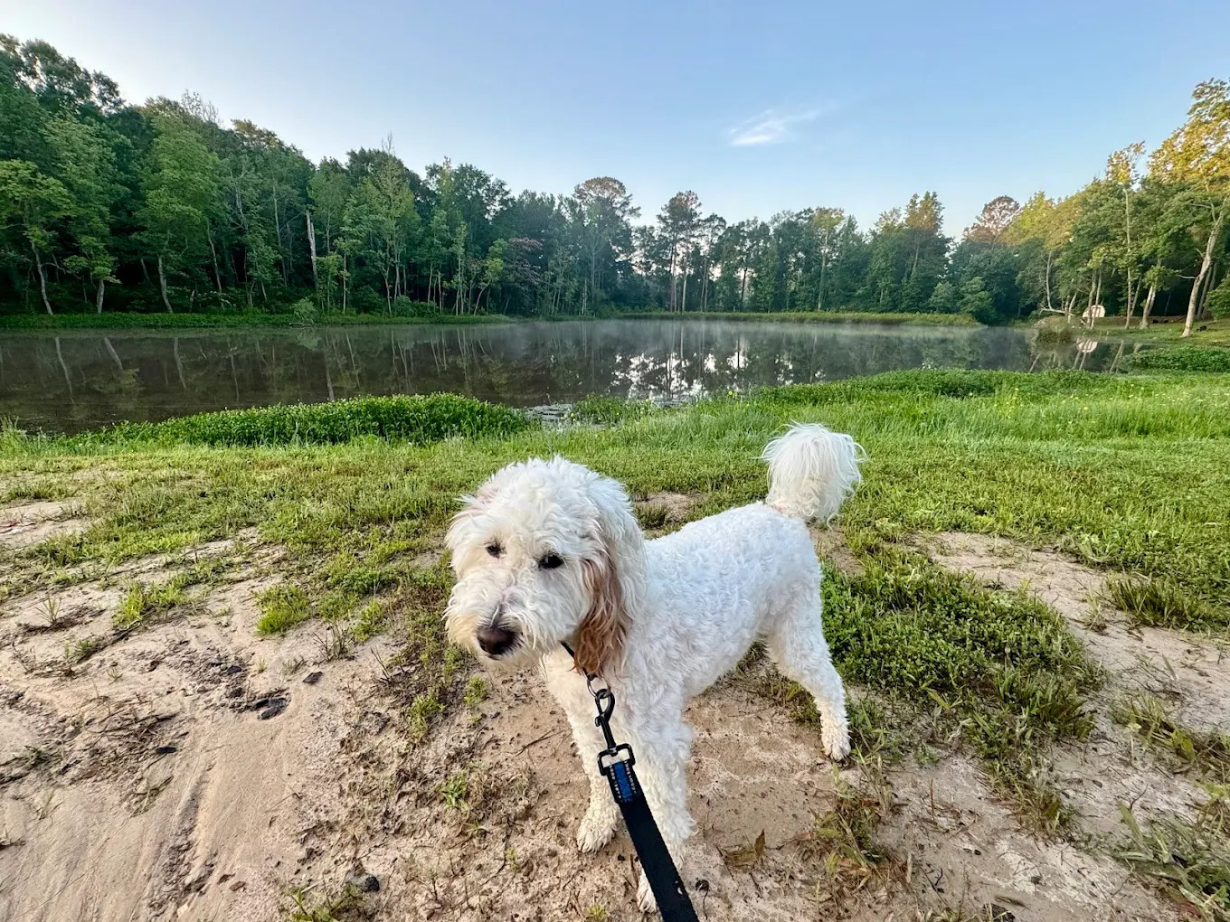 Calhoun Hills at 103 RV Park