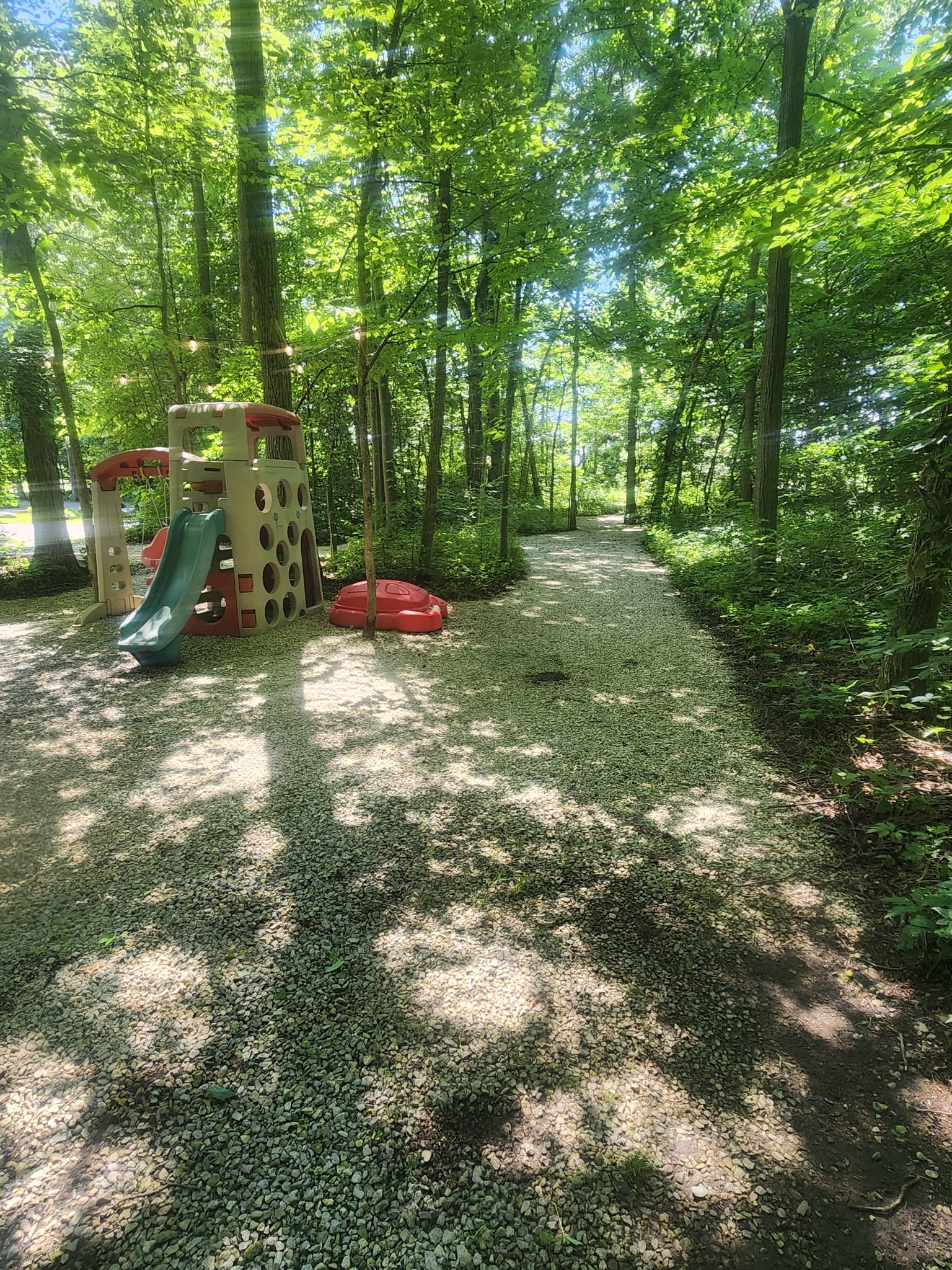 Hale’s Hideaway Forest Camping