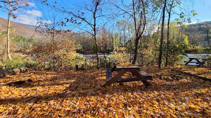 Phoenicia Black Bear Camp