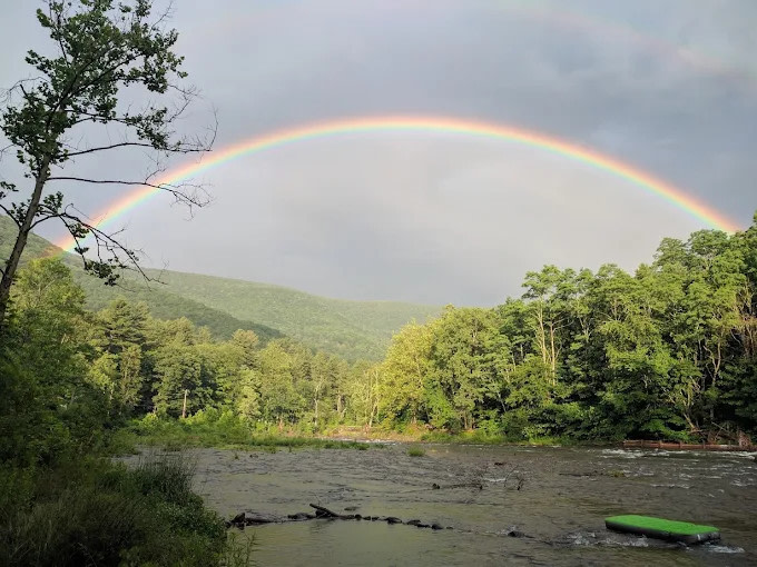 Phoenicia Black Bear Camp