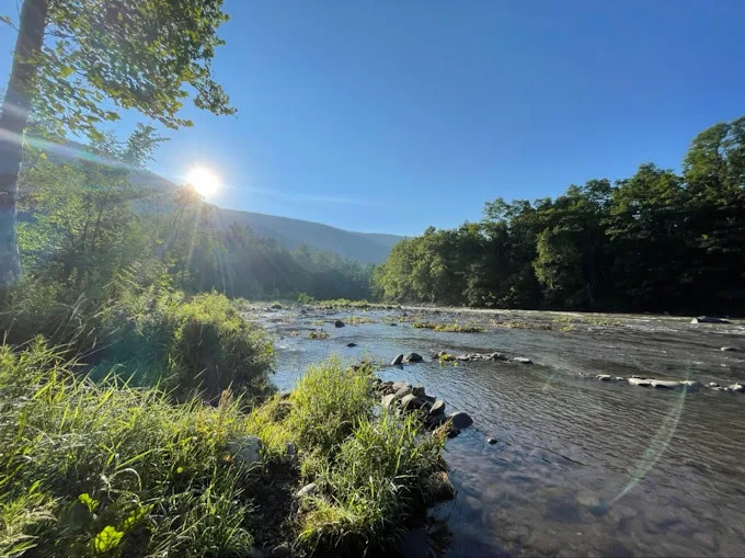 Phoenicia Black Bear Camp
