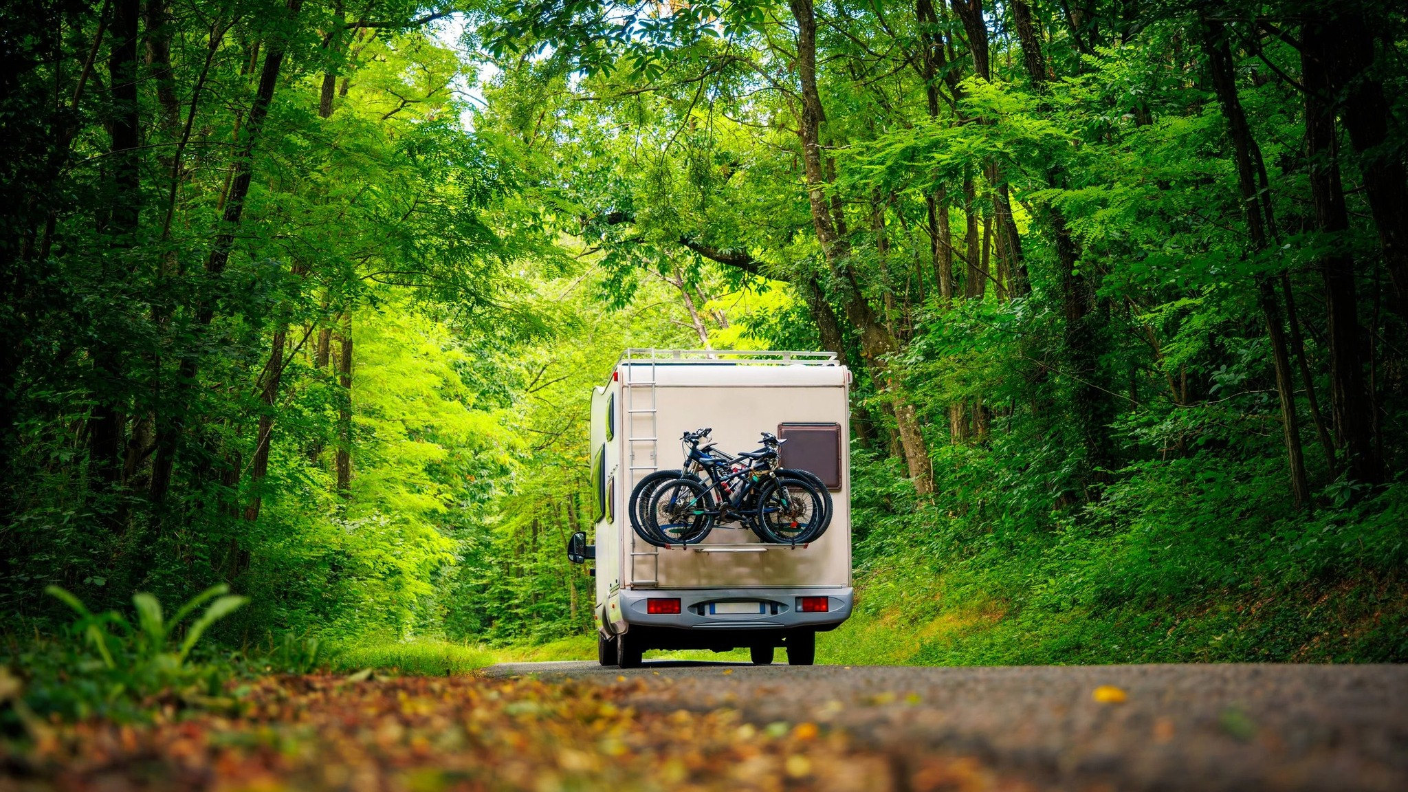 Baileys Woods Campground