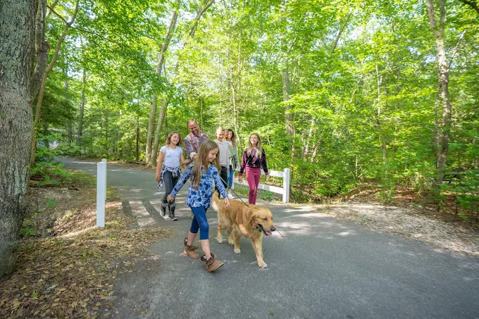 Sun Retreats Seashore