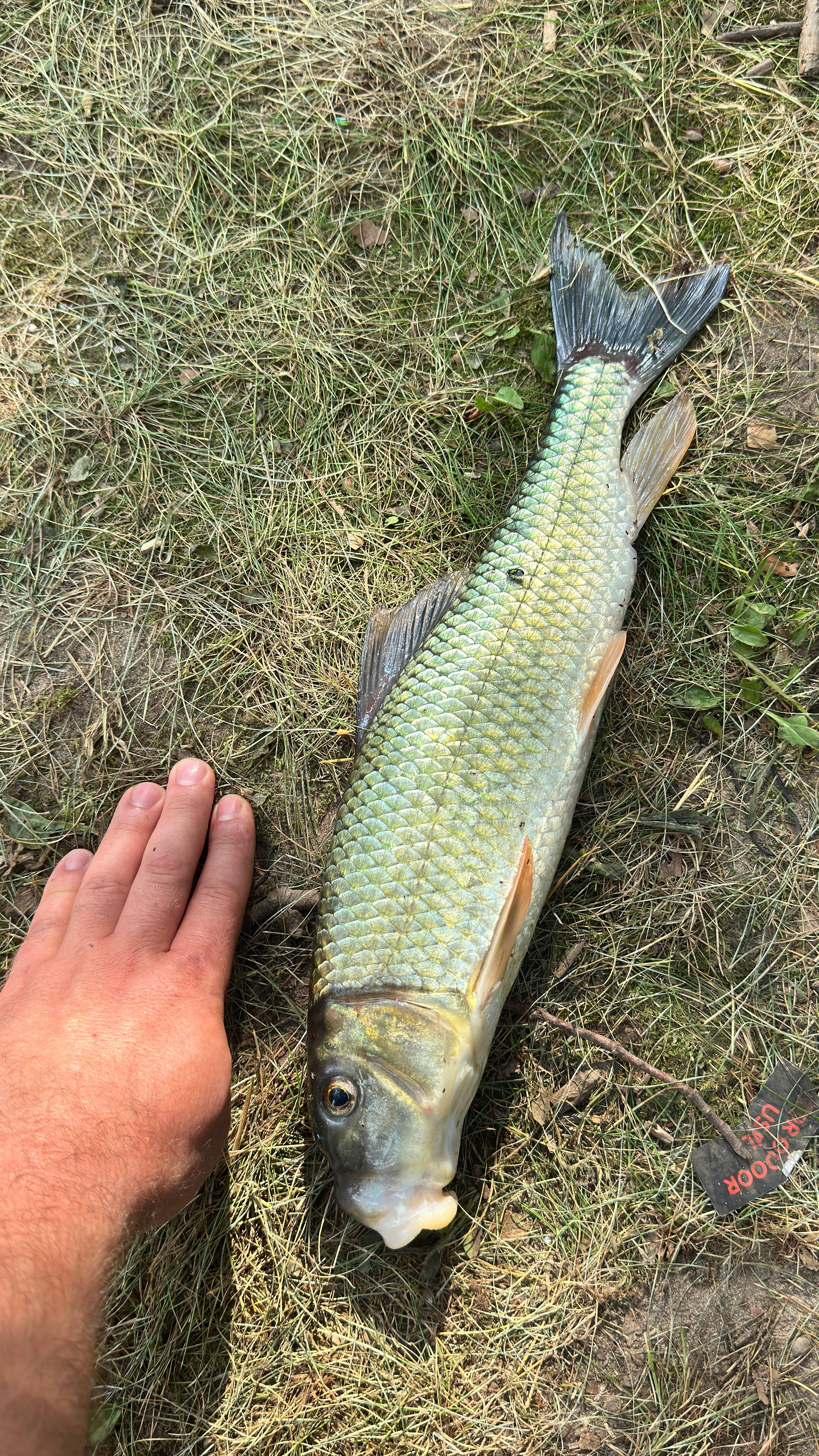 Lochloosa River Retreat