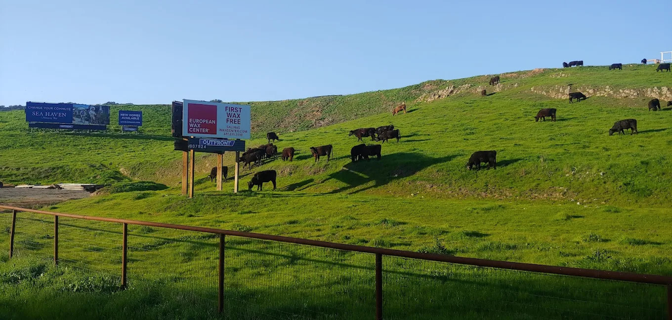 Monterey RV Park