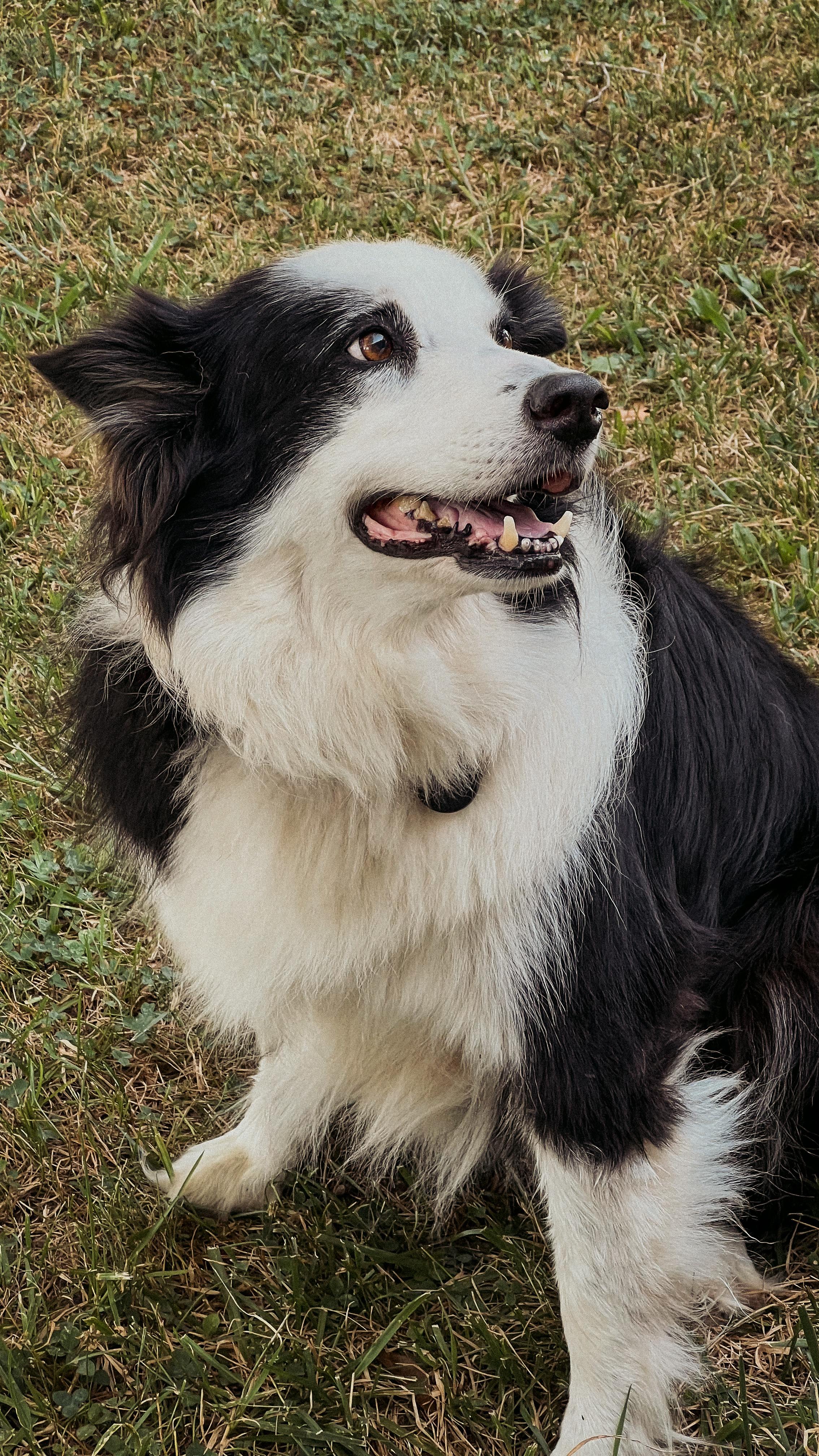 Hickory Grove Homestead