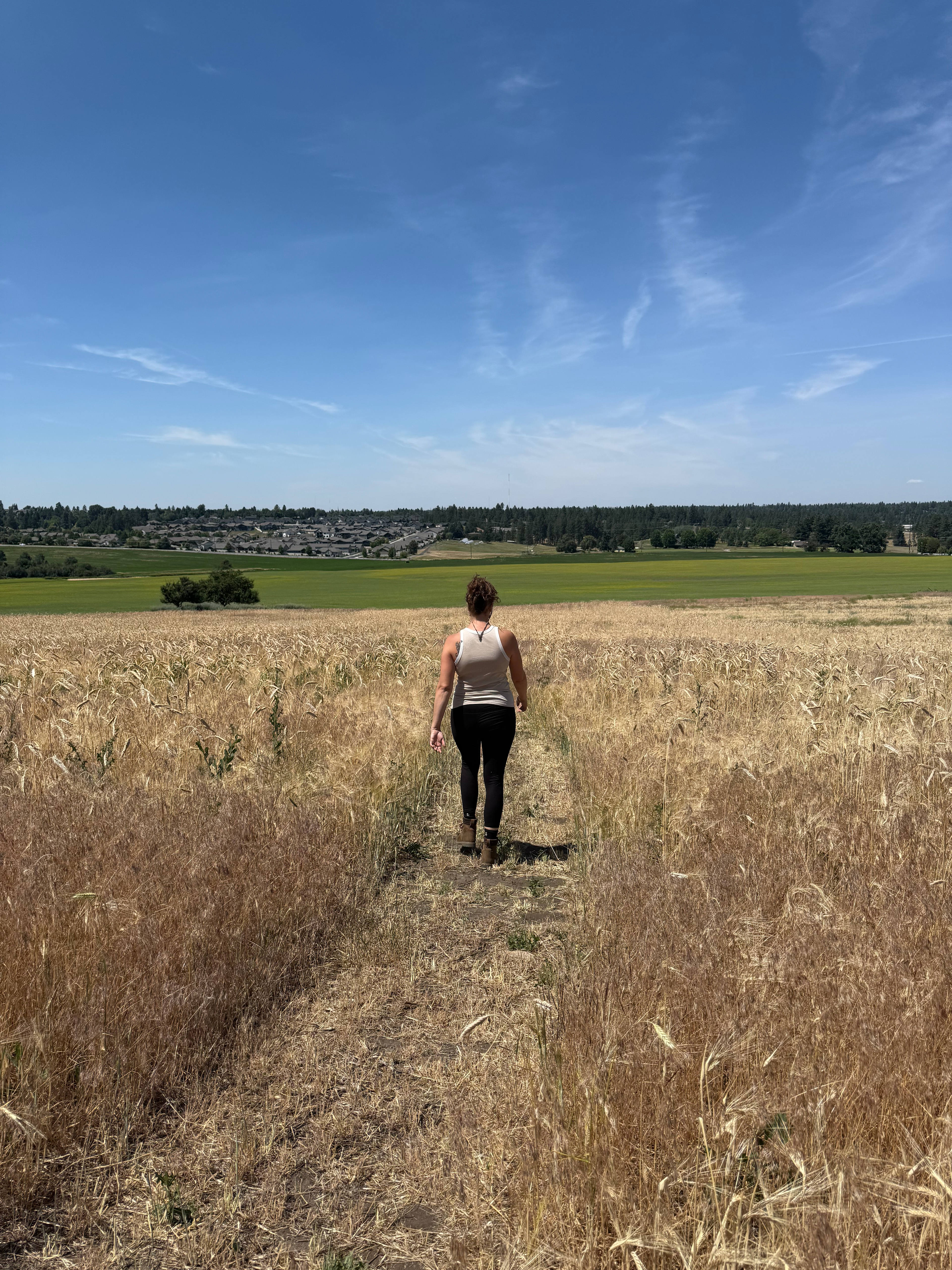 Glenrose Farm