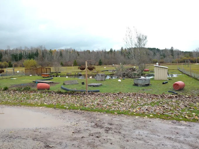 Sturgeon Valley Campground