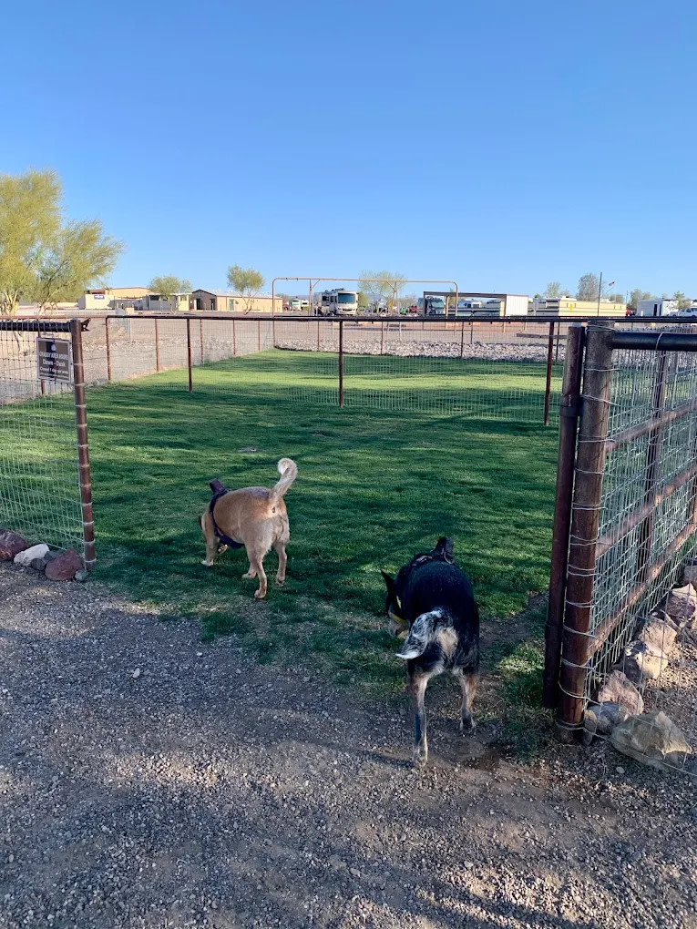 Sonoran Desert RV Park