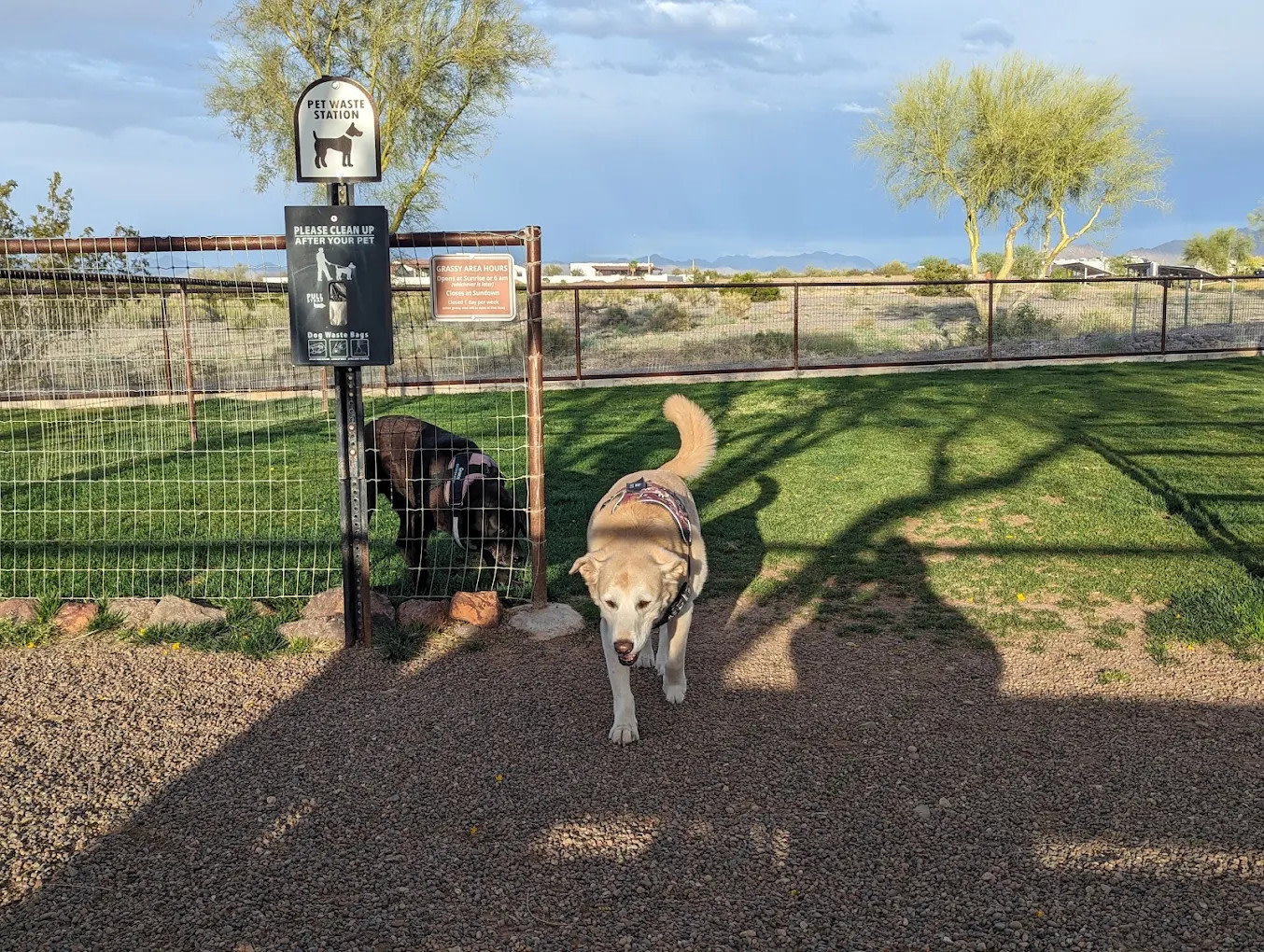Sonoran Desert RV Park