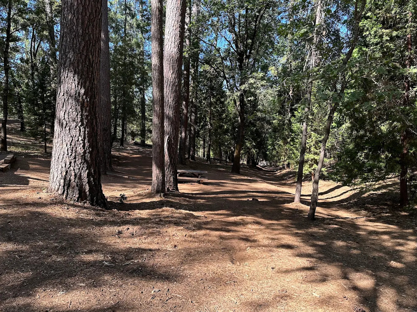 Long Ravine Campground