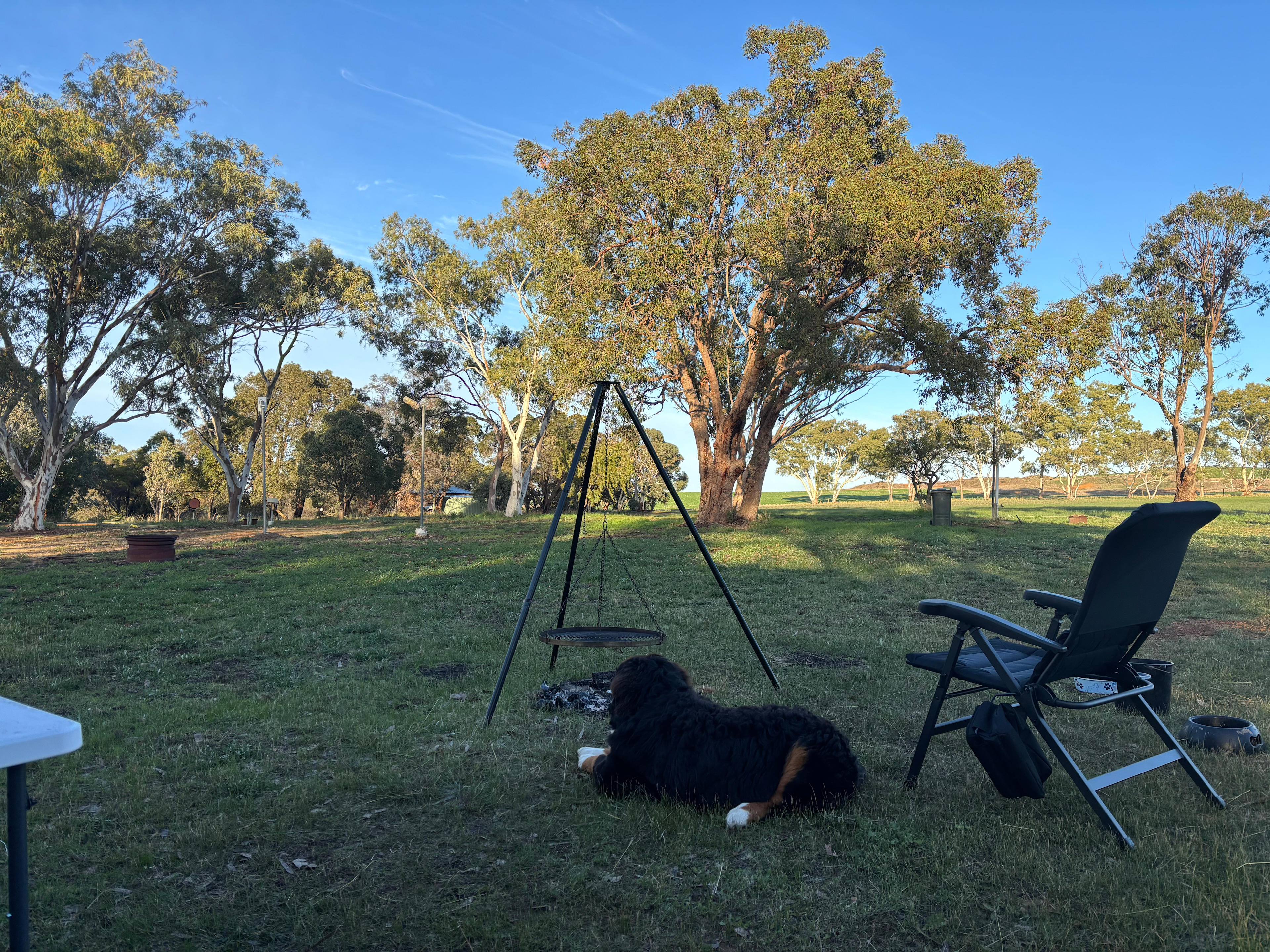 Waddi Bush Camp and Caravan Park