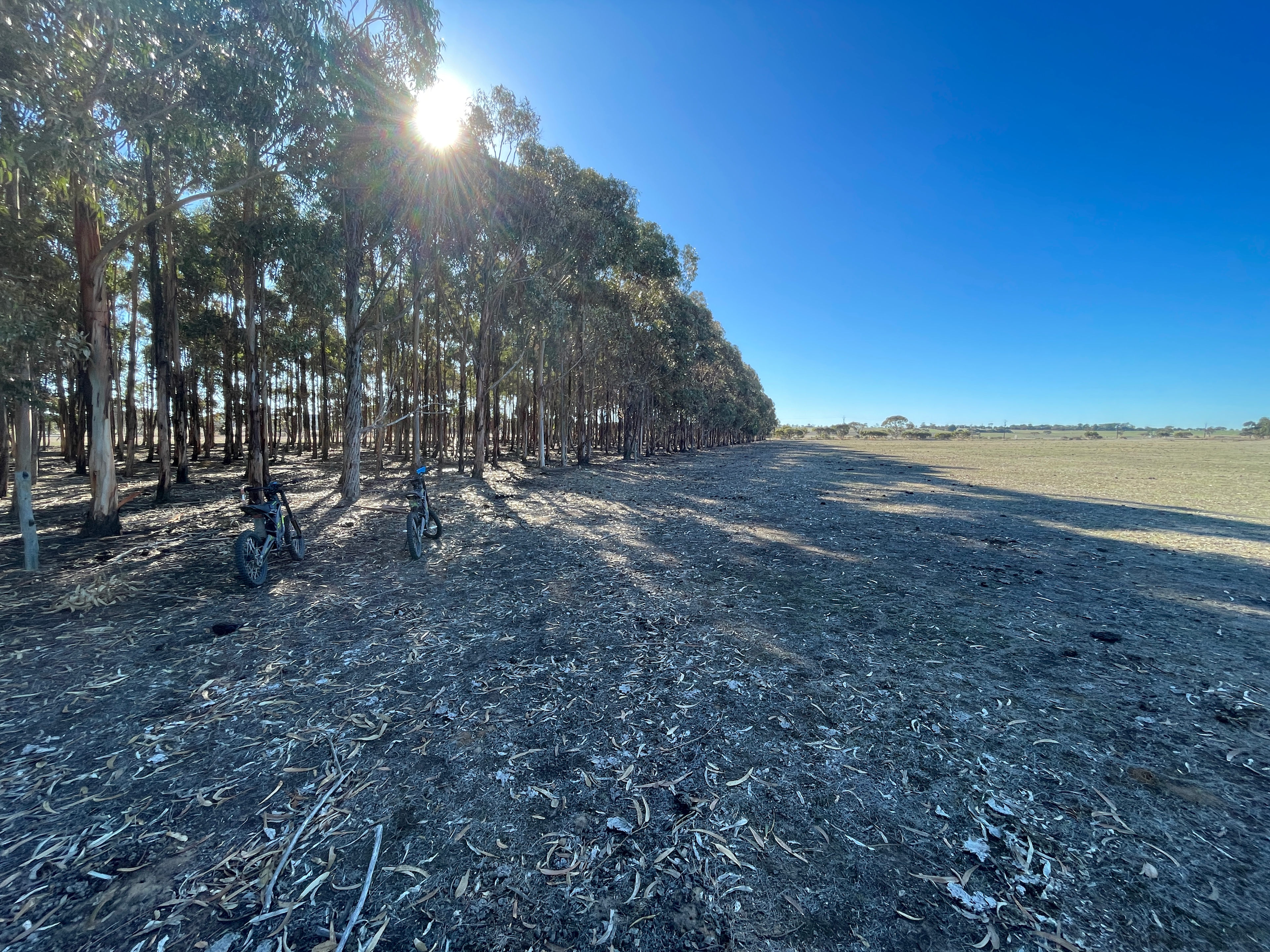 Big Gum Camp