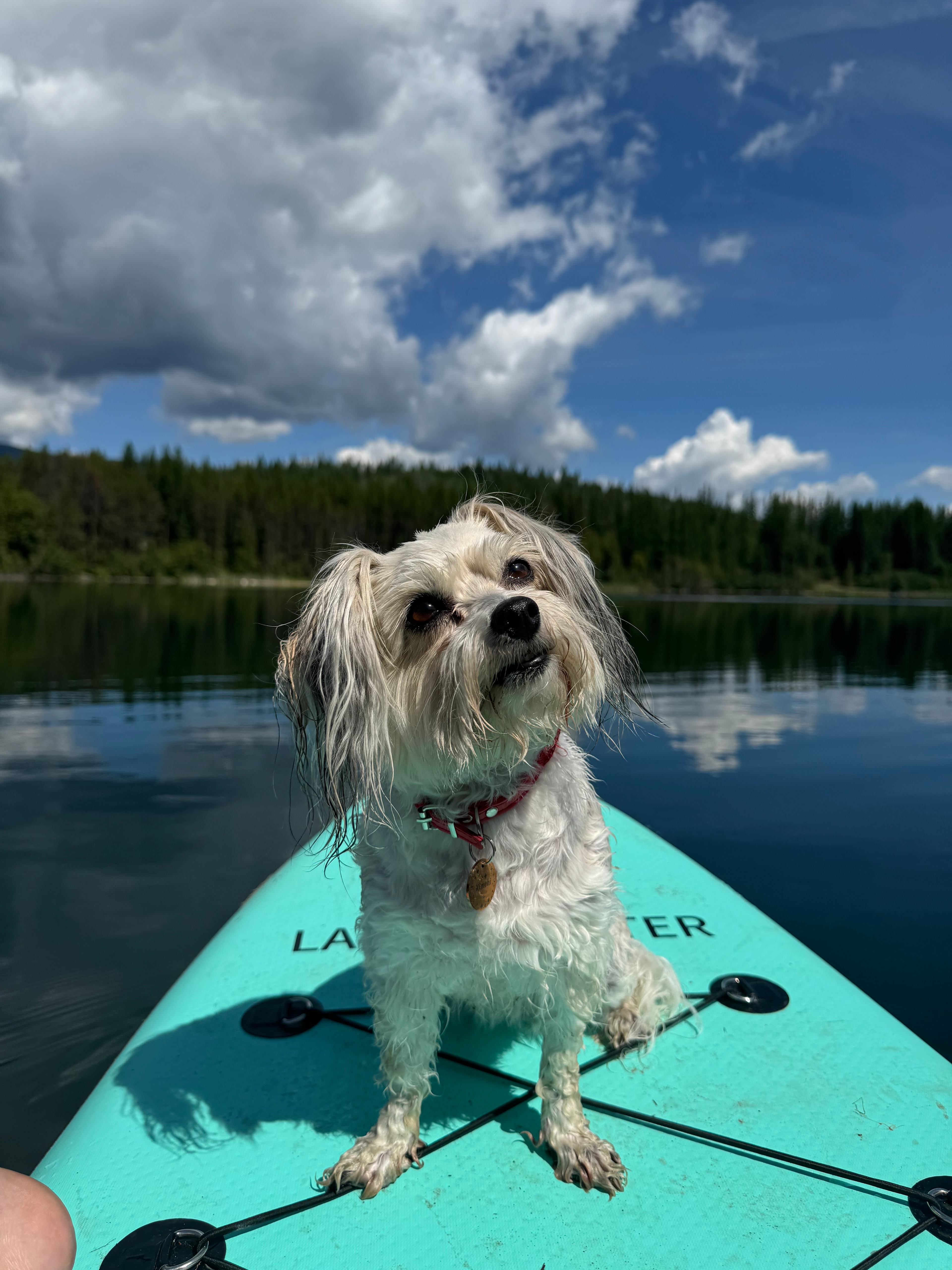 Rosebud Lake Campground Resort
