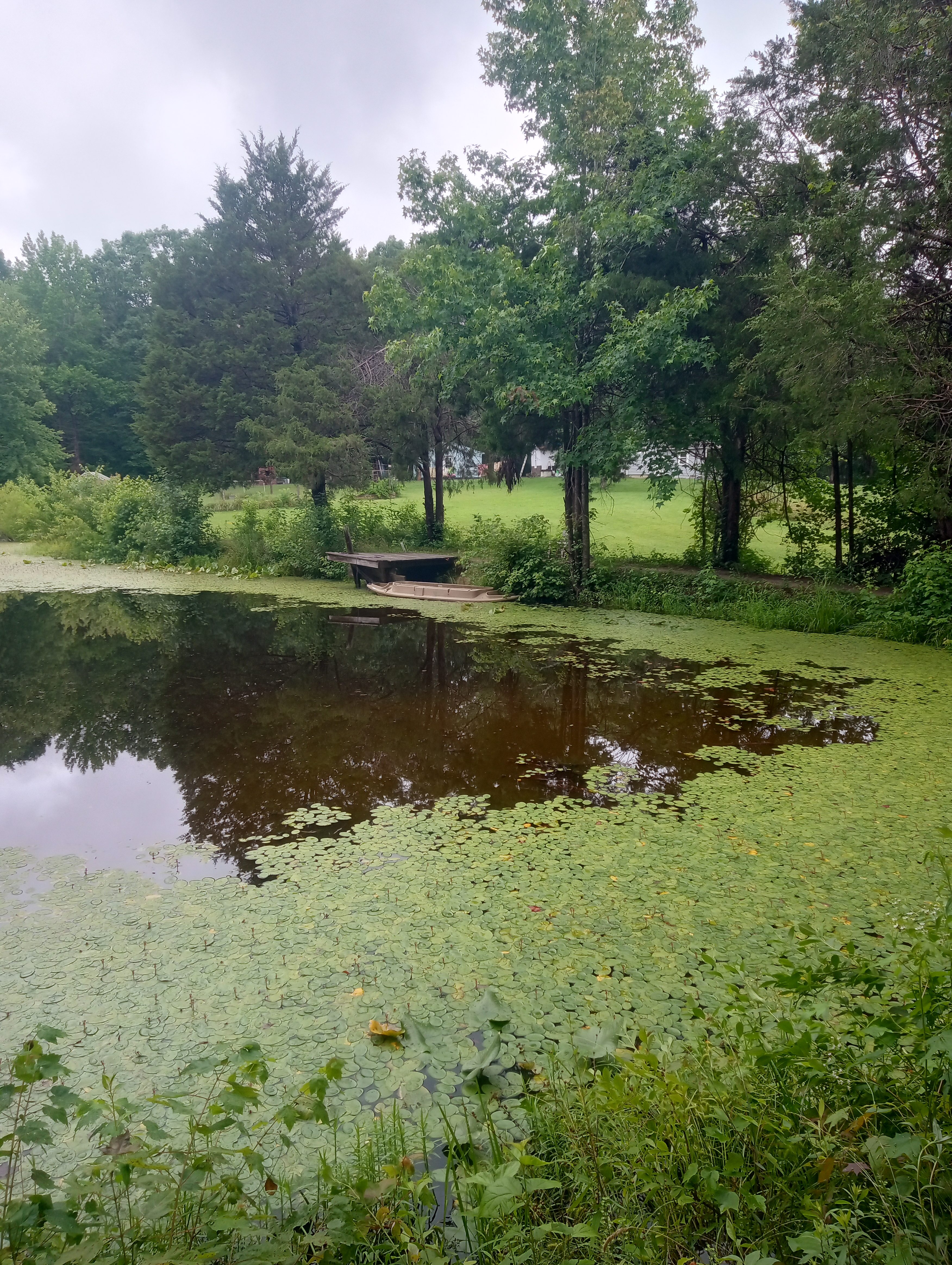 Chancellorsville Oasis