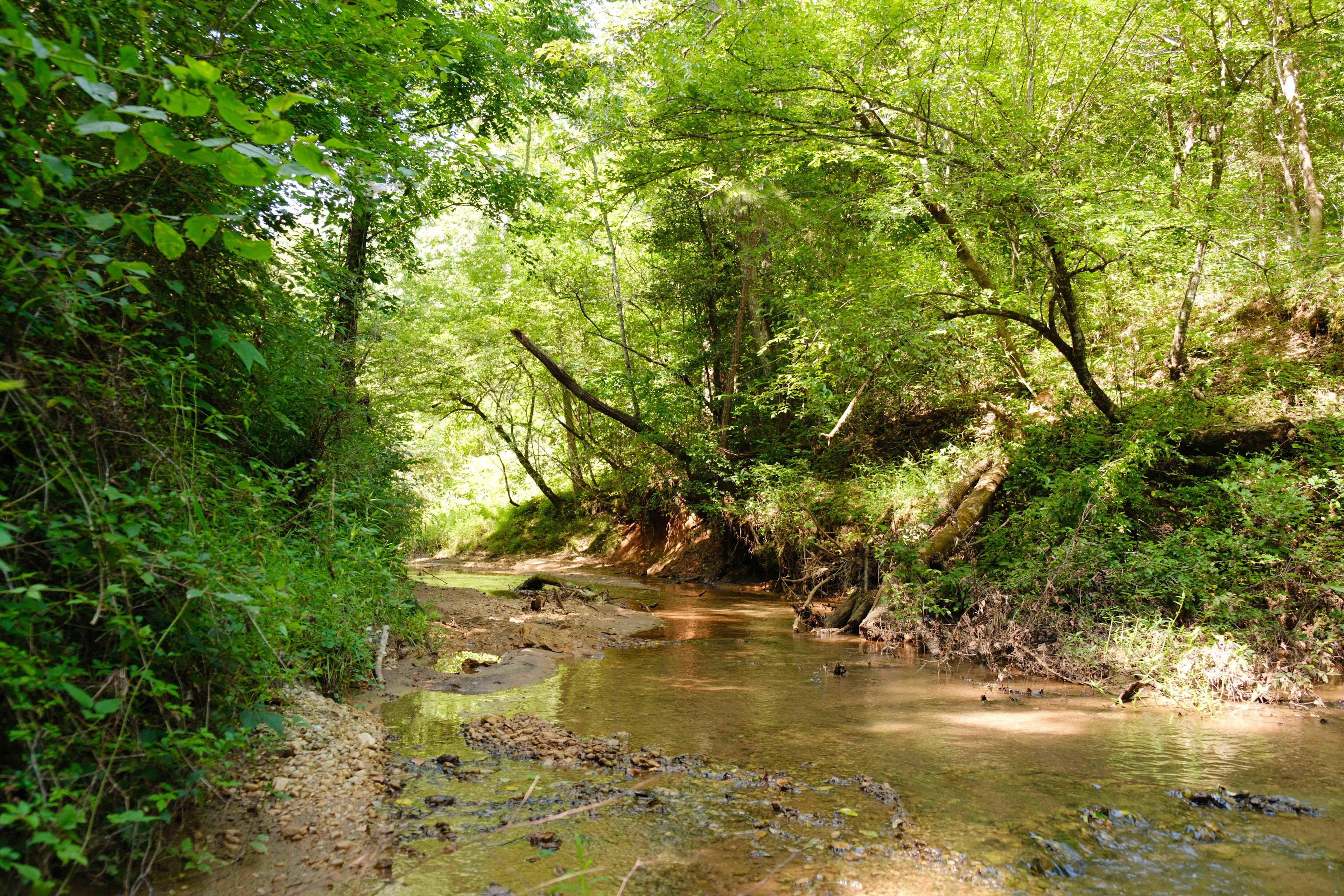 creek near the campsite