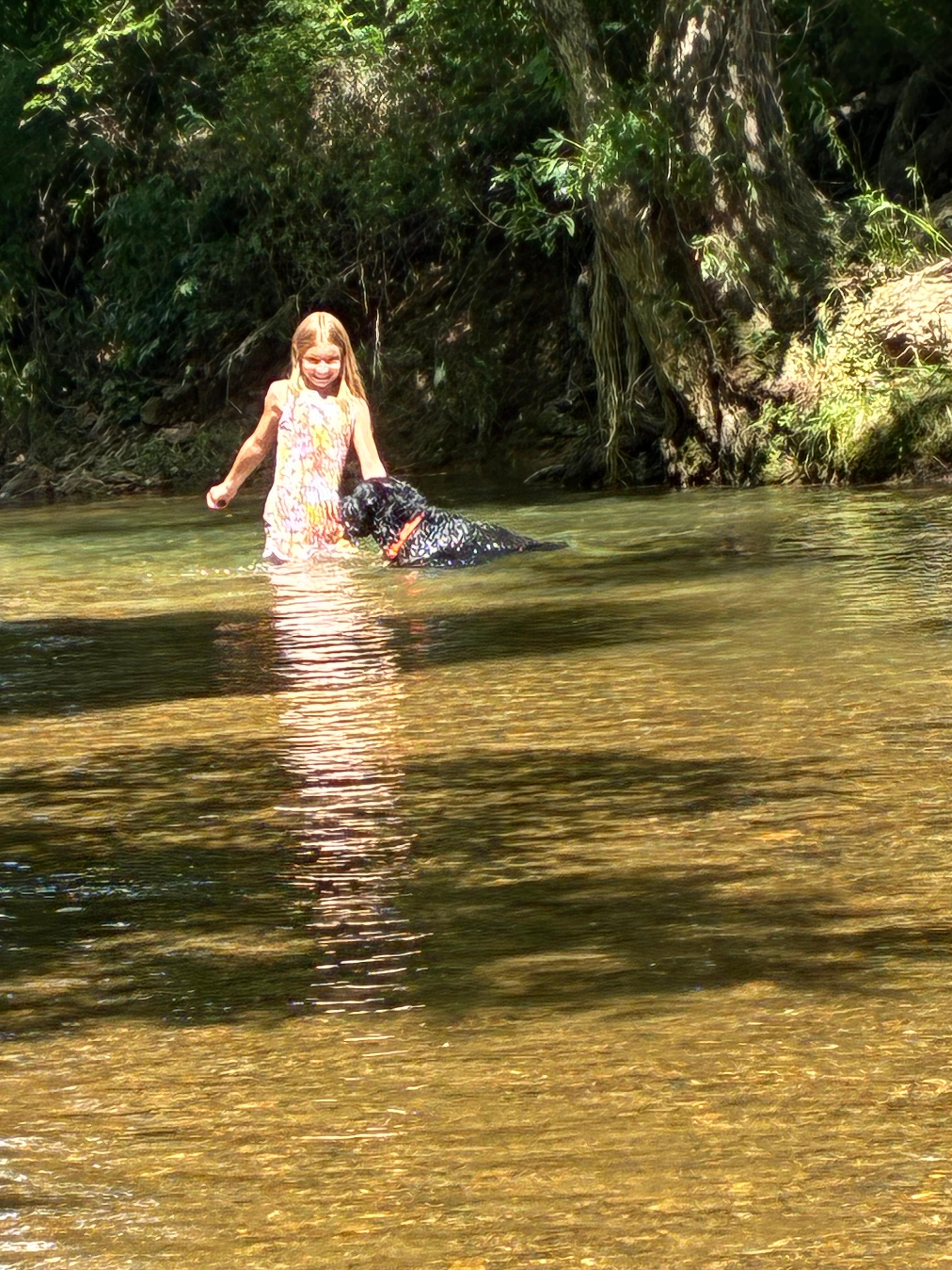 Conowingo Creek Campsite