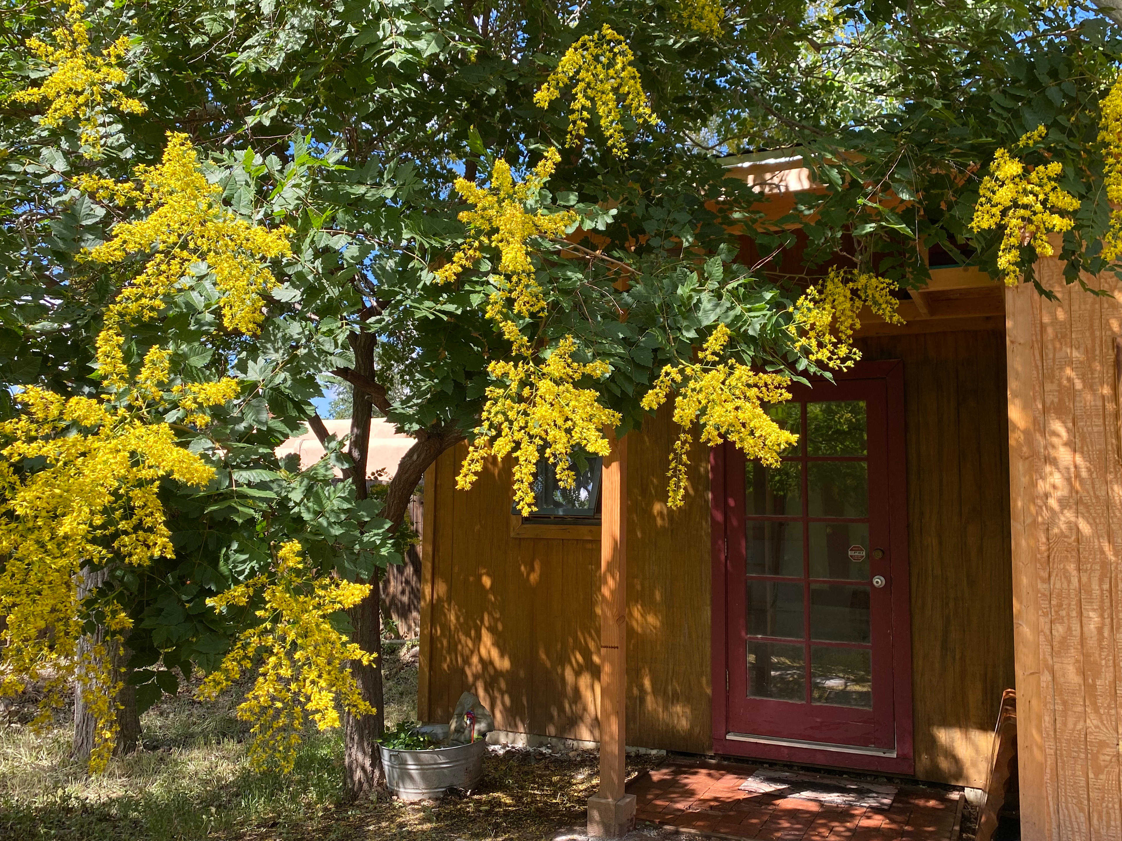 Artist Casita in the Trees