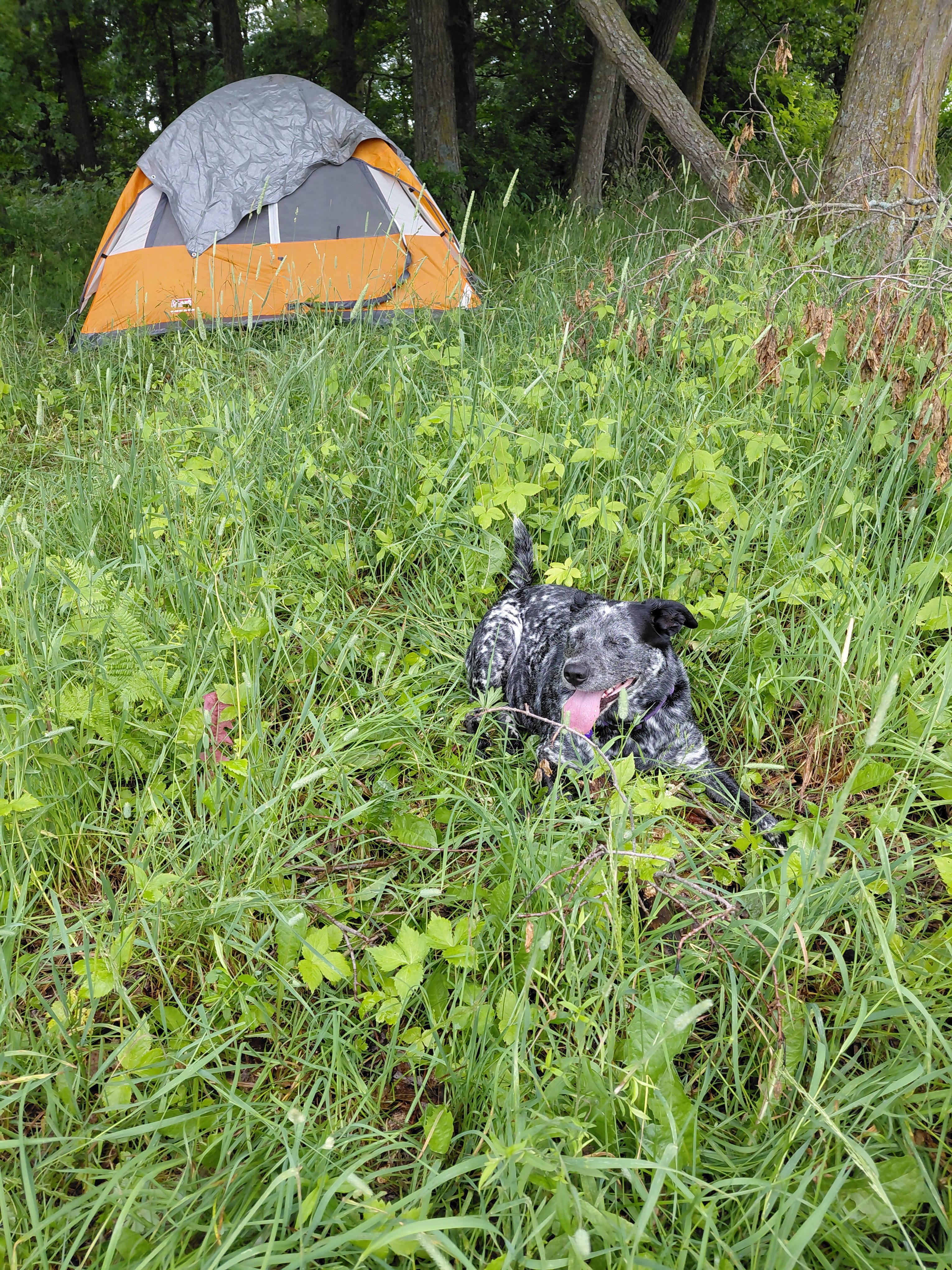Secluded Ice Age Trail Camping