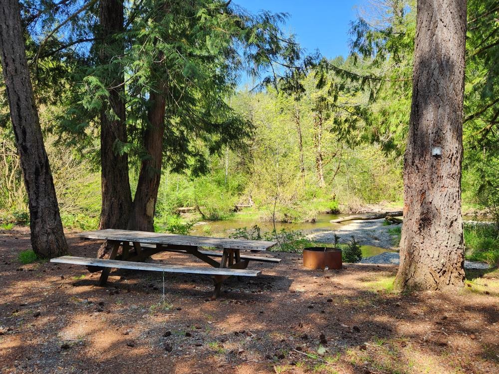 Dewatto River Campground