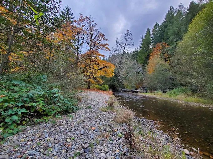 Dewatto River Campground