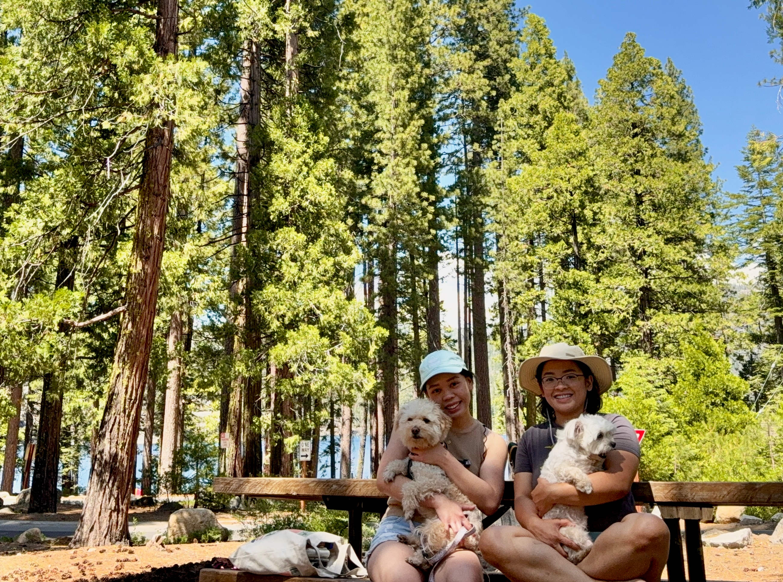 Pinecrest Campground