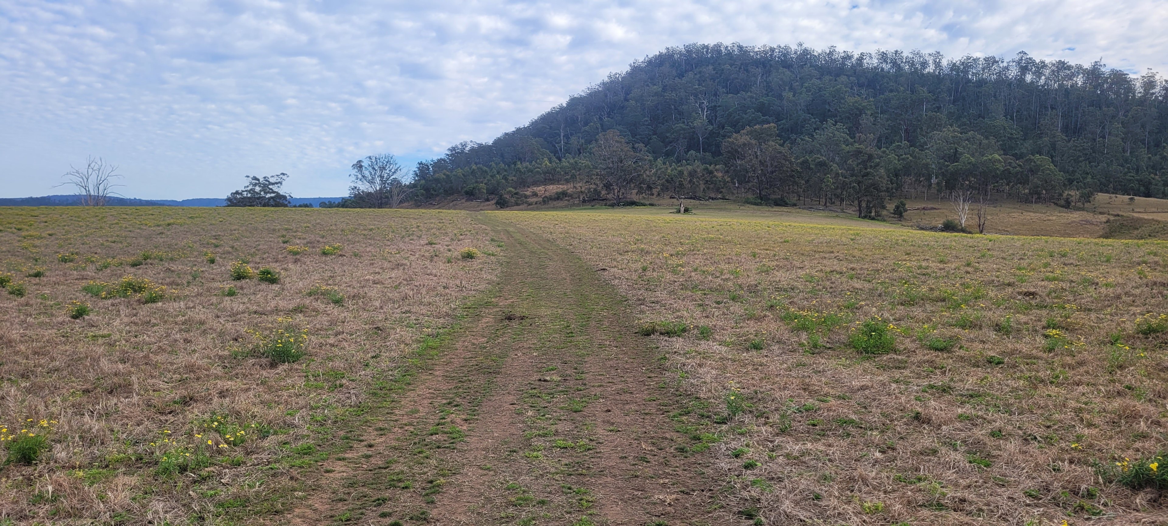 Bowrunga