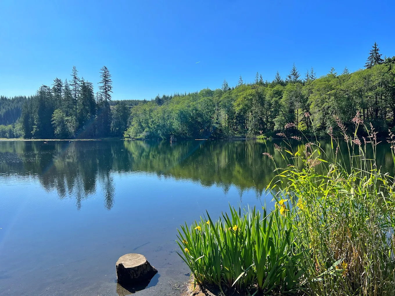 Grandy Lake Park