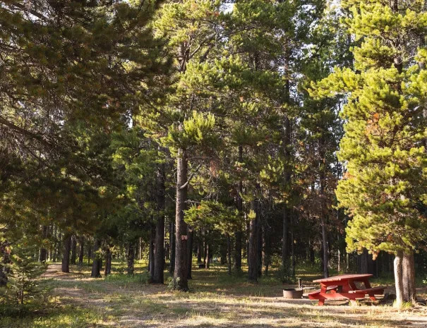 Red Eagle Campground