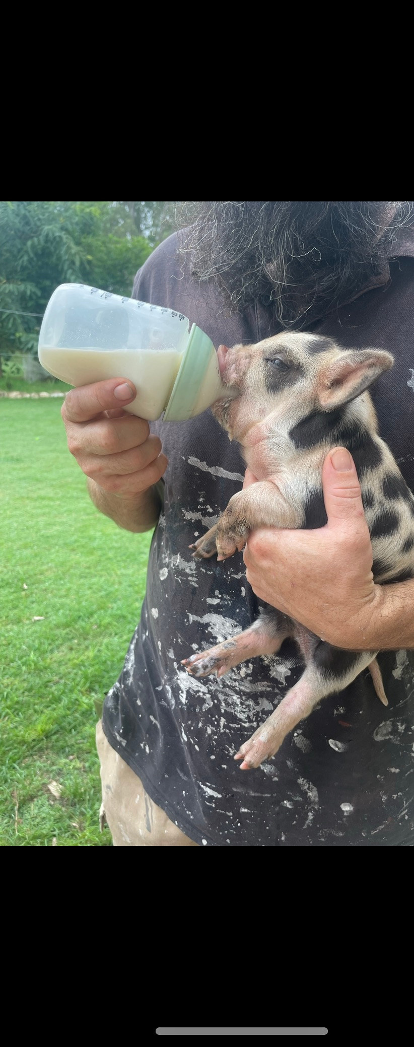 Savvy Creek Farms