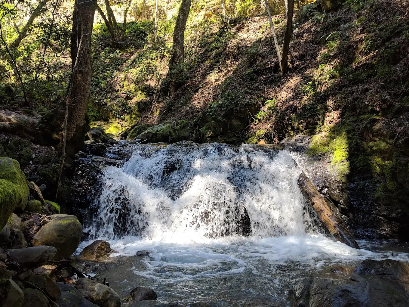 Uvas Canyon County Park