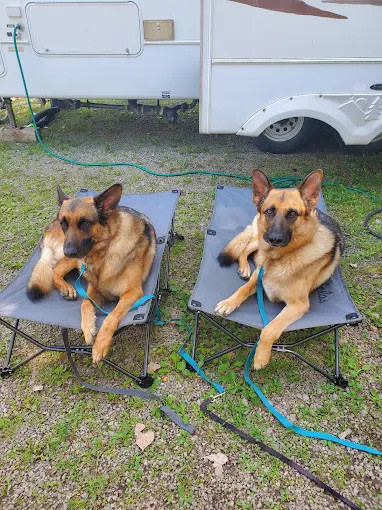 Niagara's Lazy Lakes Camping Resort