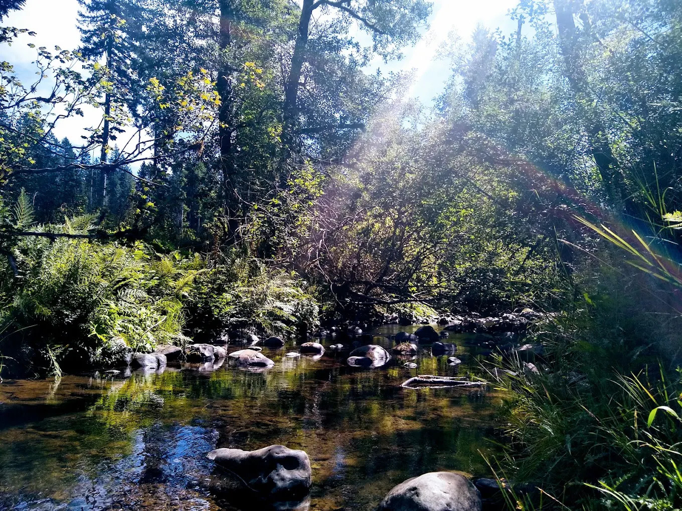 Big Buck Campground