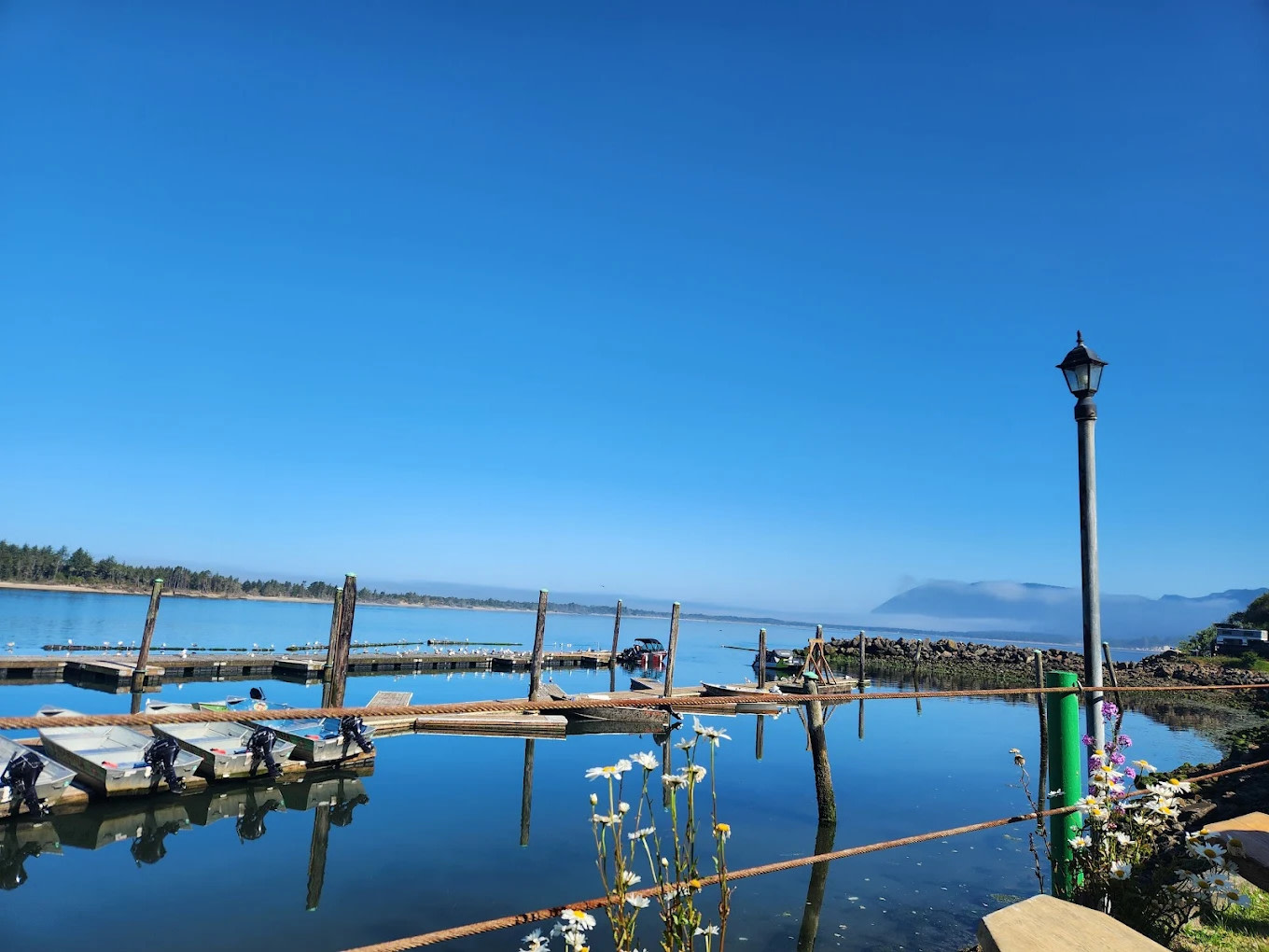 Kelly's Brighton Marina