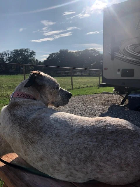 Little Star RV Park