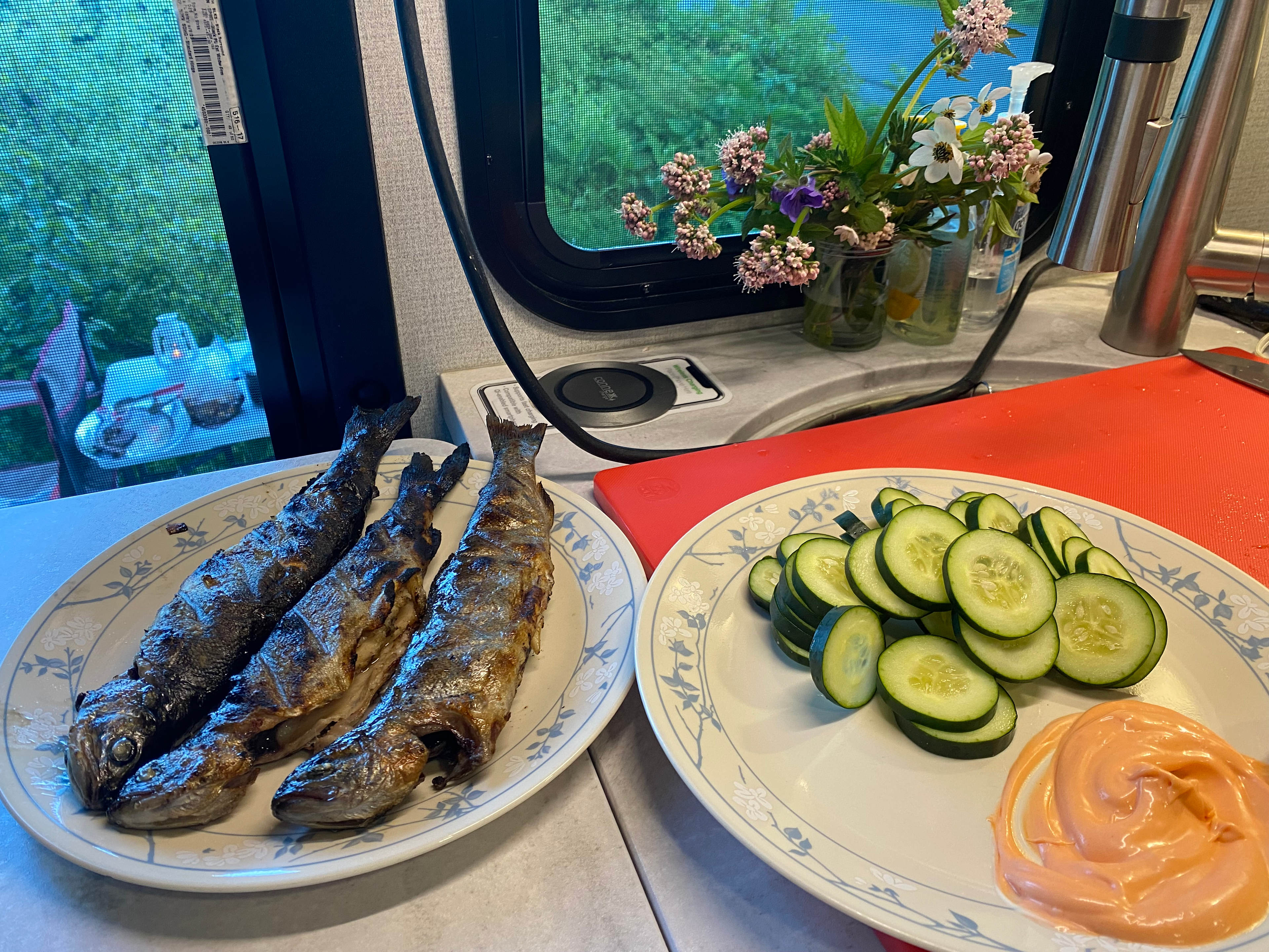 Valdez Adventure Alliance