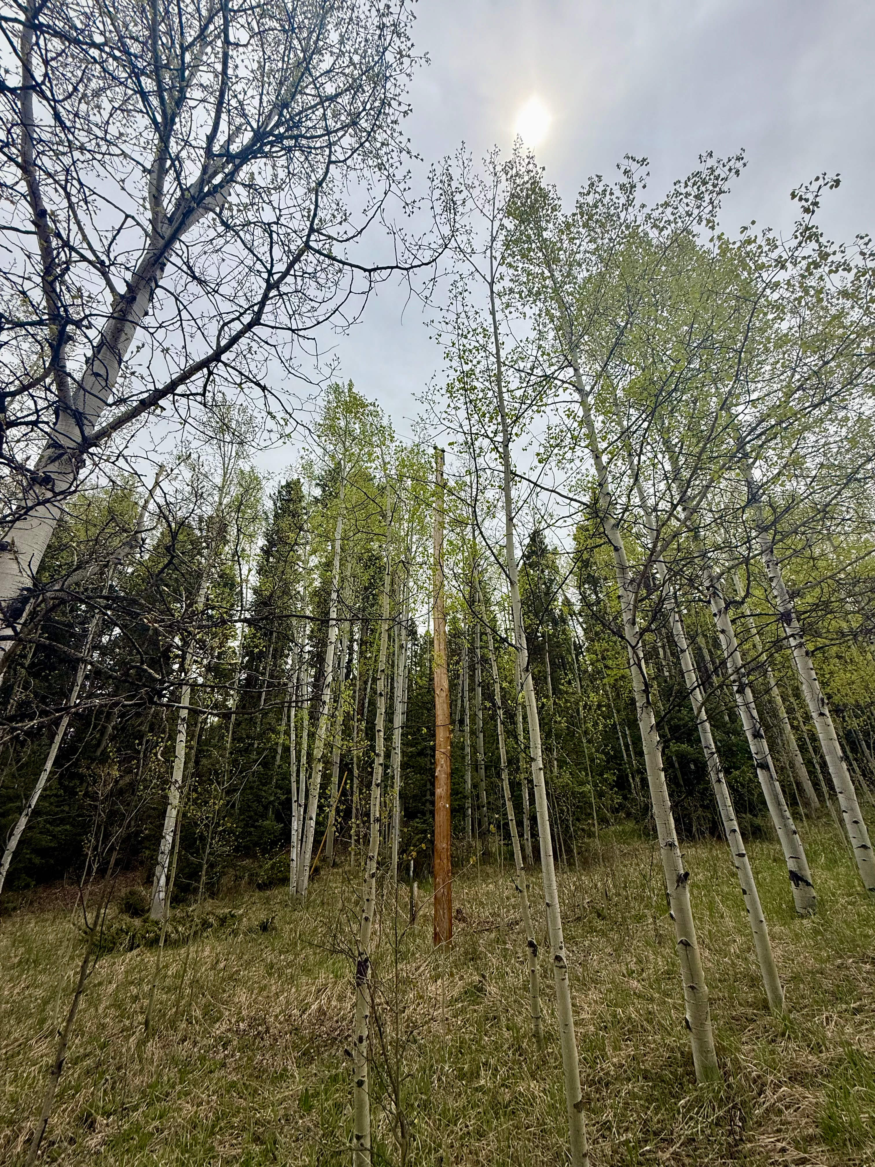 Camp Eagle Rock
