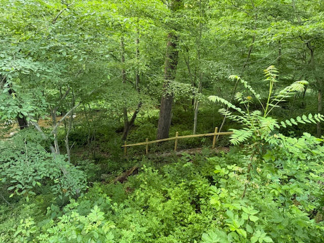 View from the deck overlooking the creek.