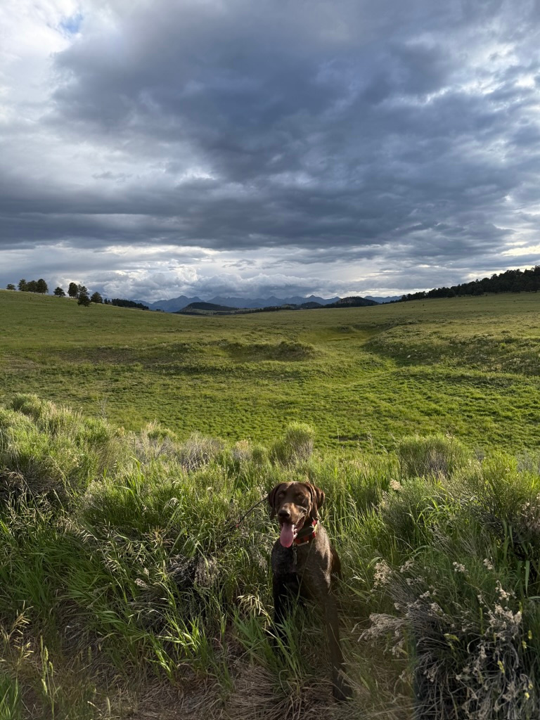 Agapé Valley Colorado